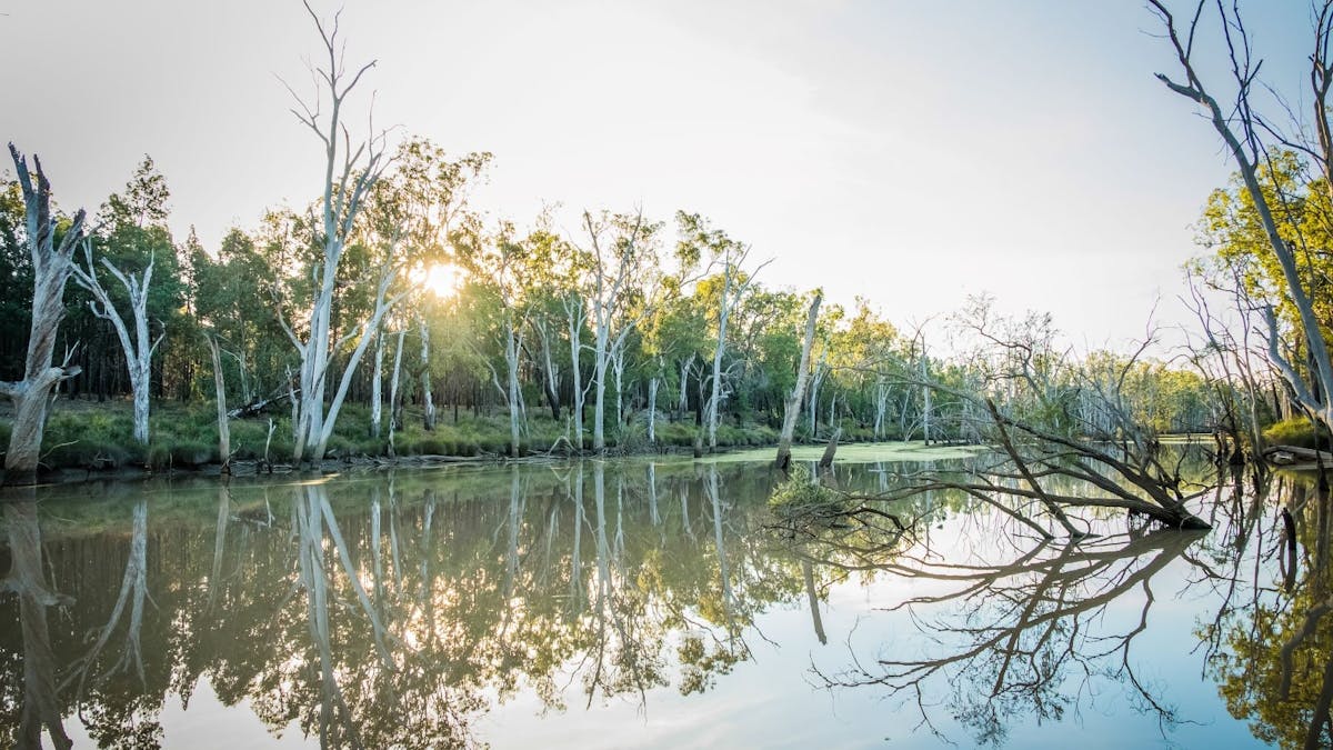 Relax and enjoy the peace and quiet out at the Gil Weir.