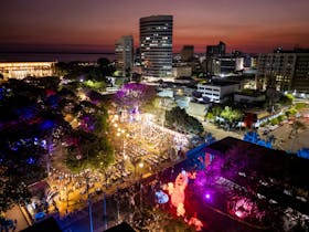Darwin Festival