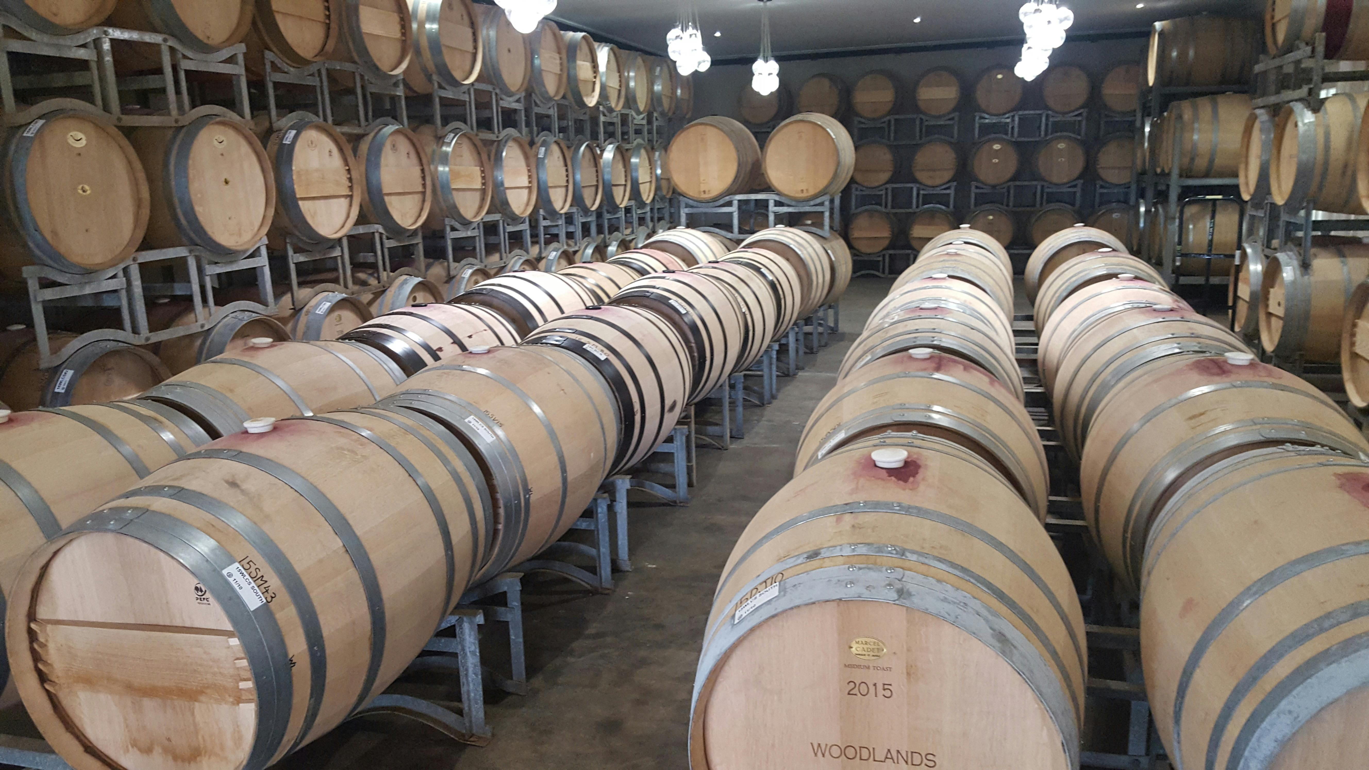 Grape Escape South West Tours, Margaret River, Western Australia