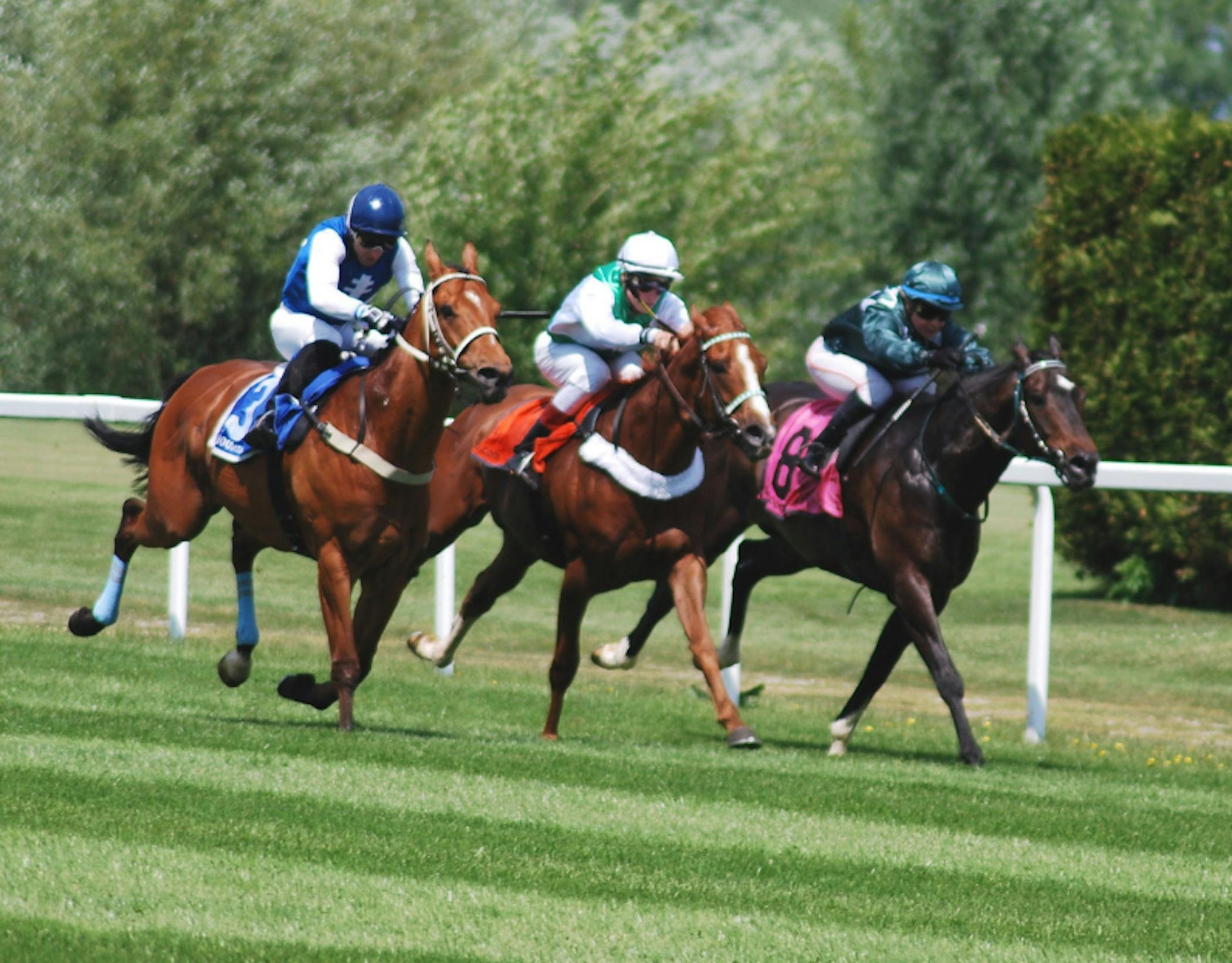 Oaks Day Fundraising luncheon at 360Q Queenscliff Harbour smith family ocean grove view club