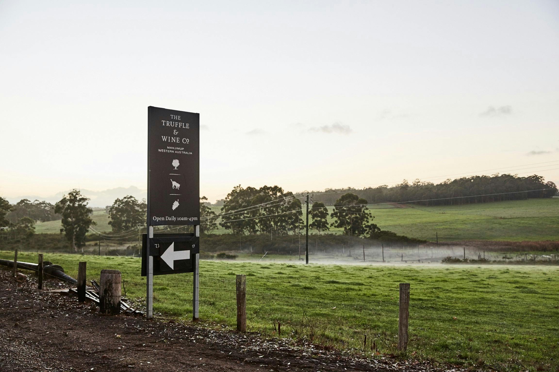 Manjimup truffles, The Truffle and Wine Company, Western Australia