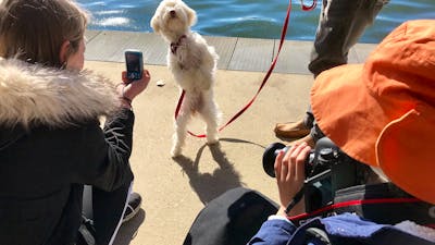 a group of children are photographing a dog which is standing on his hind legs