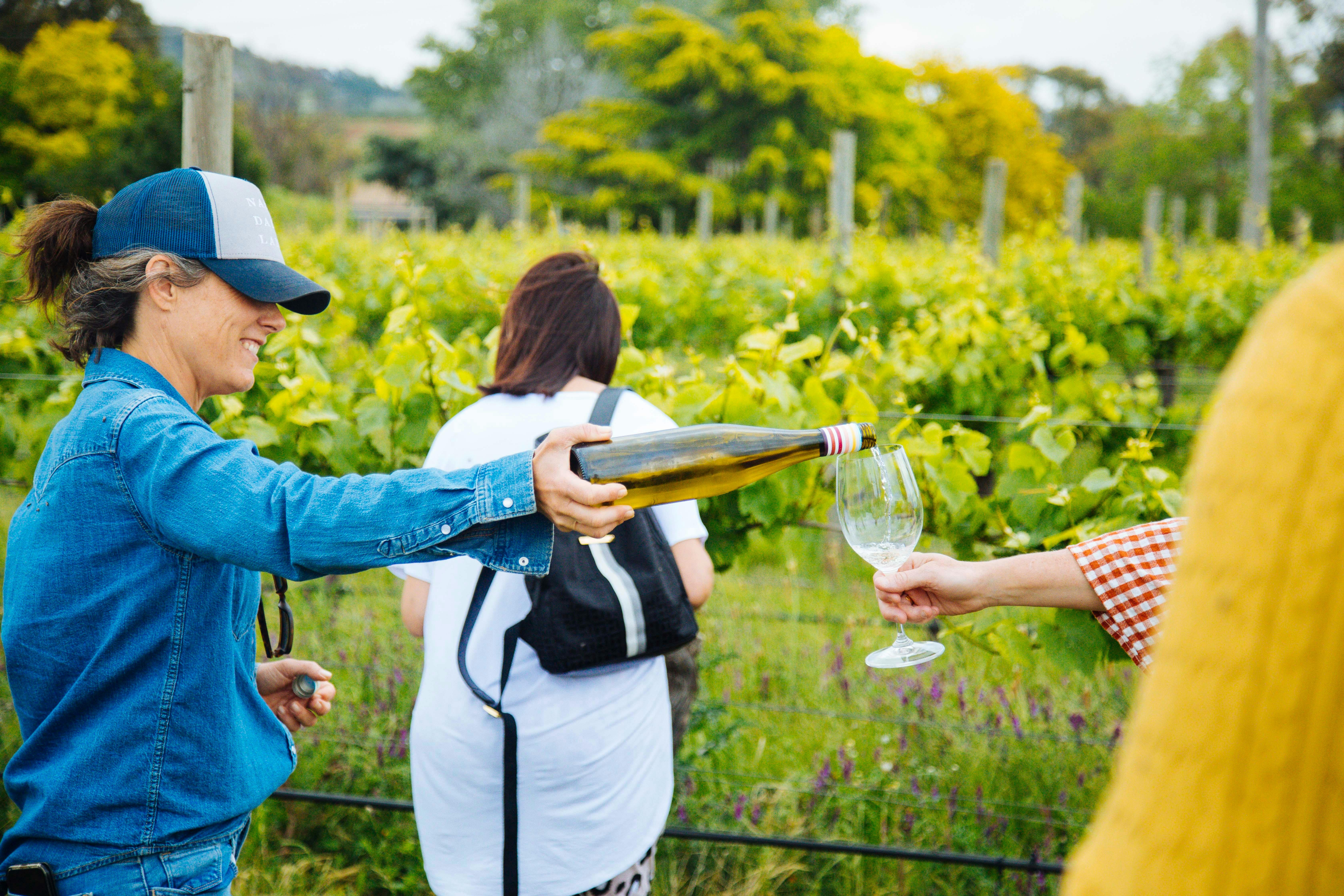 カラフルな集団旅行4日間のワインアロング