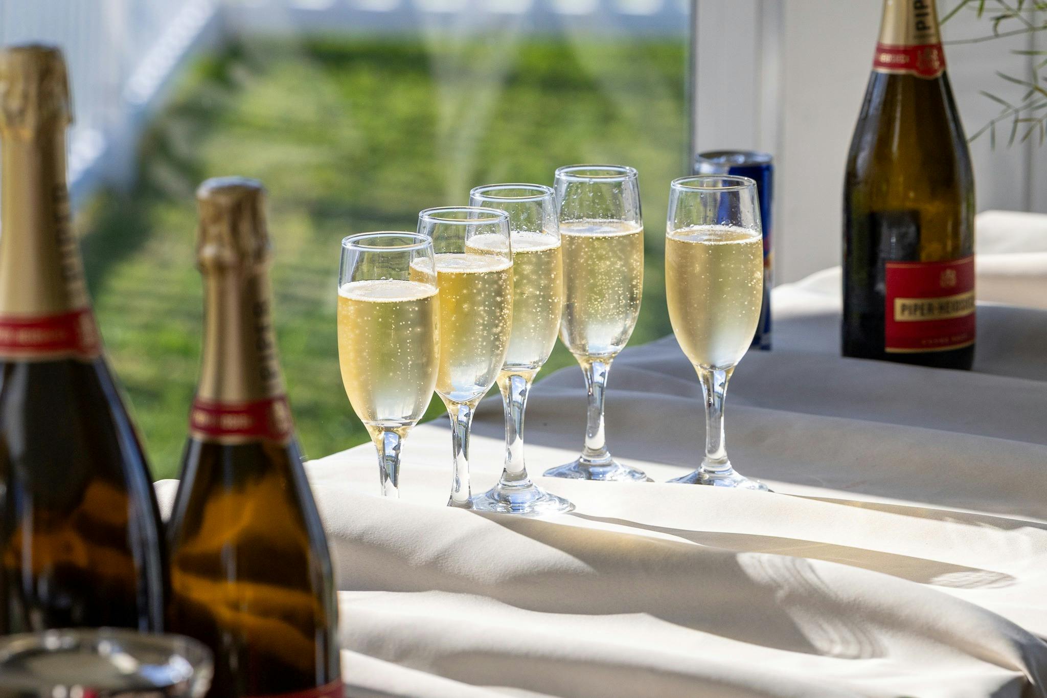 Glasses of sparkling wine arranged on a table indoors at Newcastle Racecourse.