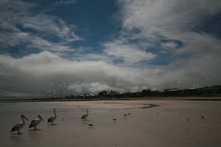 Hardwicke Bay