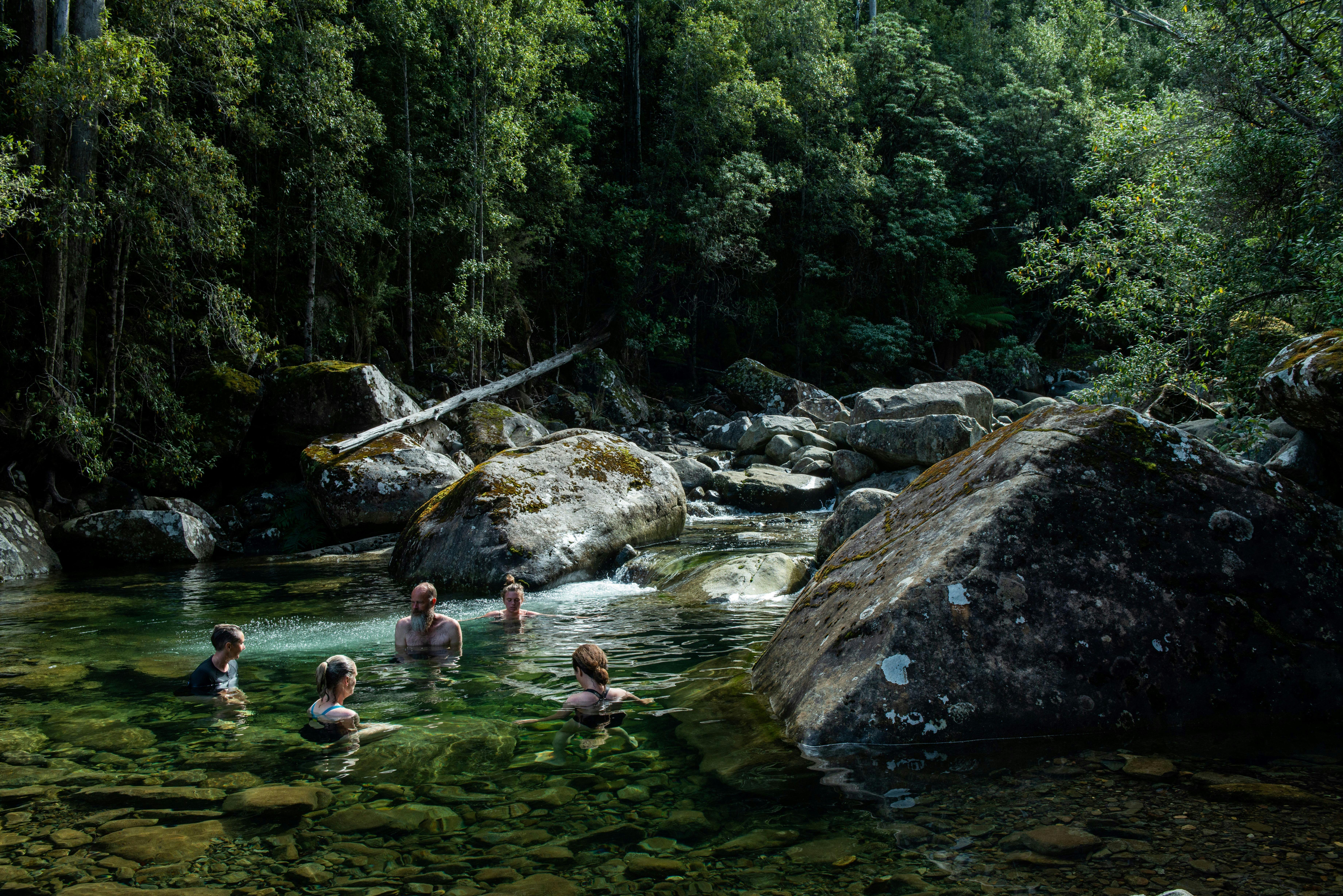 Wild Wellness Fire & Ice