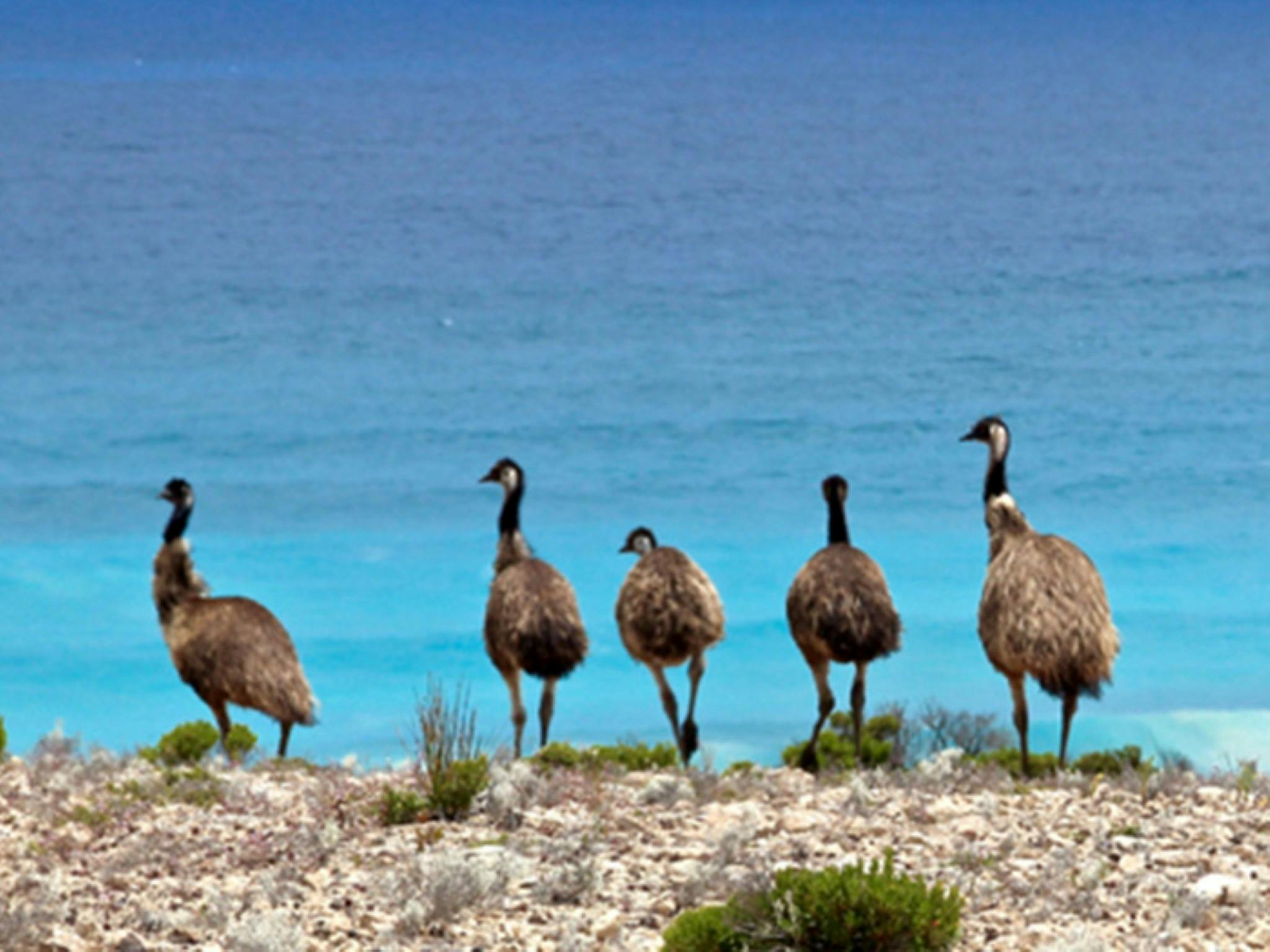 Coffin Bay