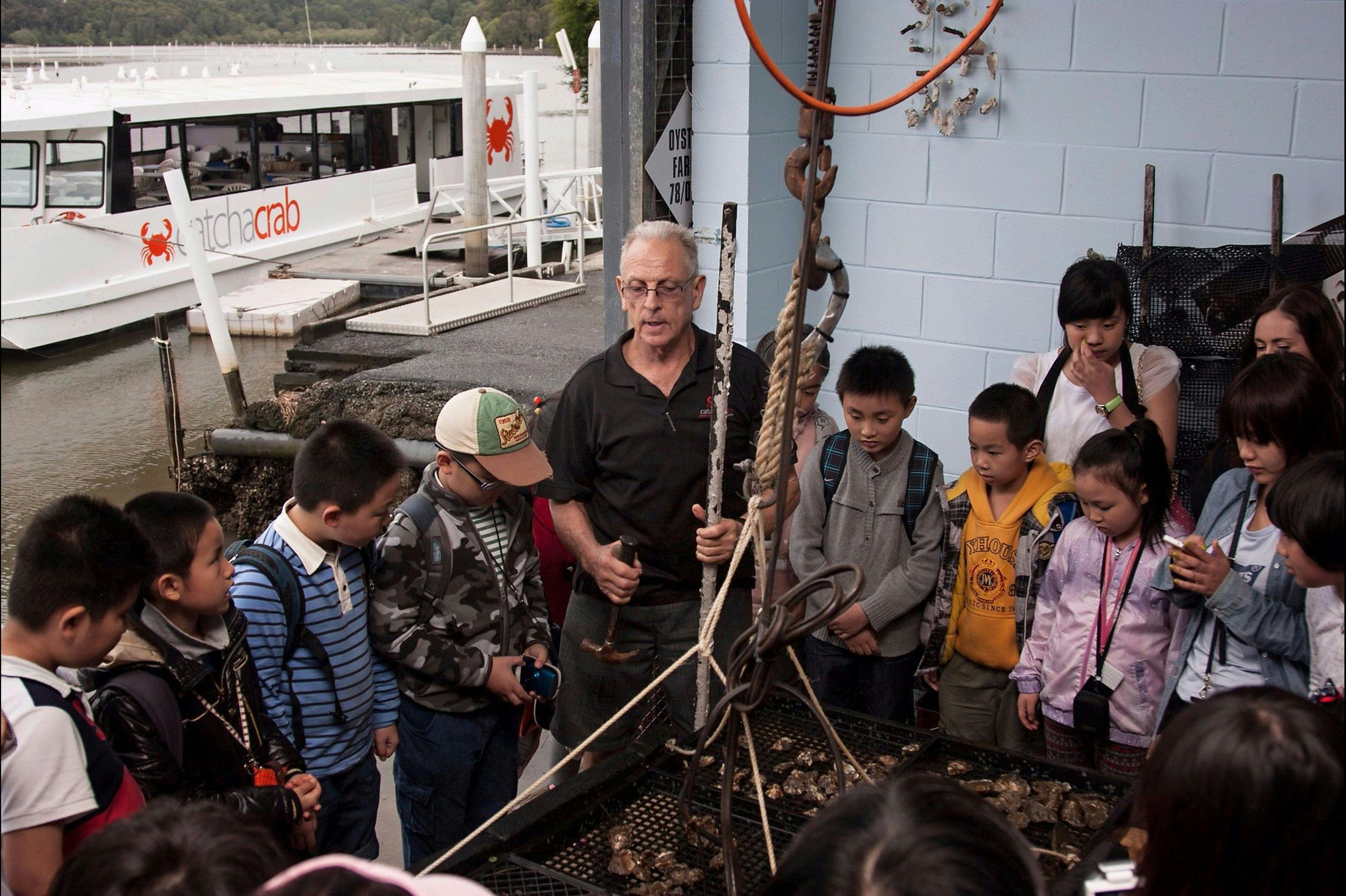 Learn about the growing processes behind the famous Sydney Rock Oyster