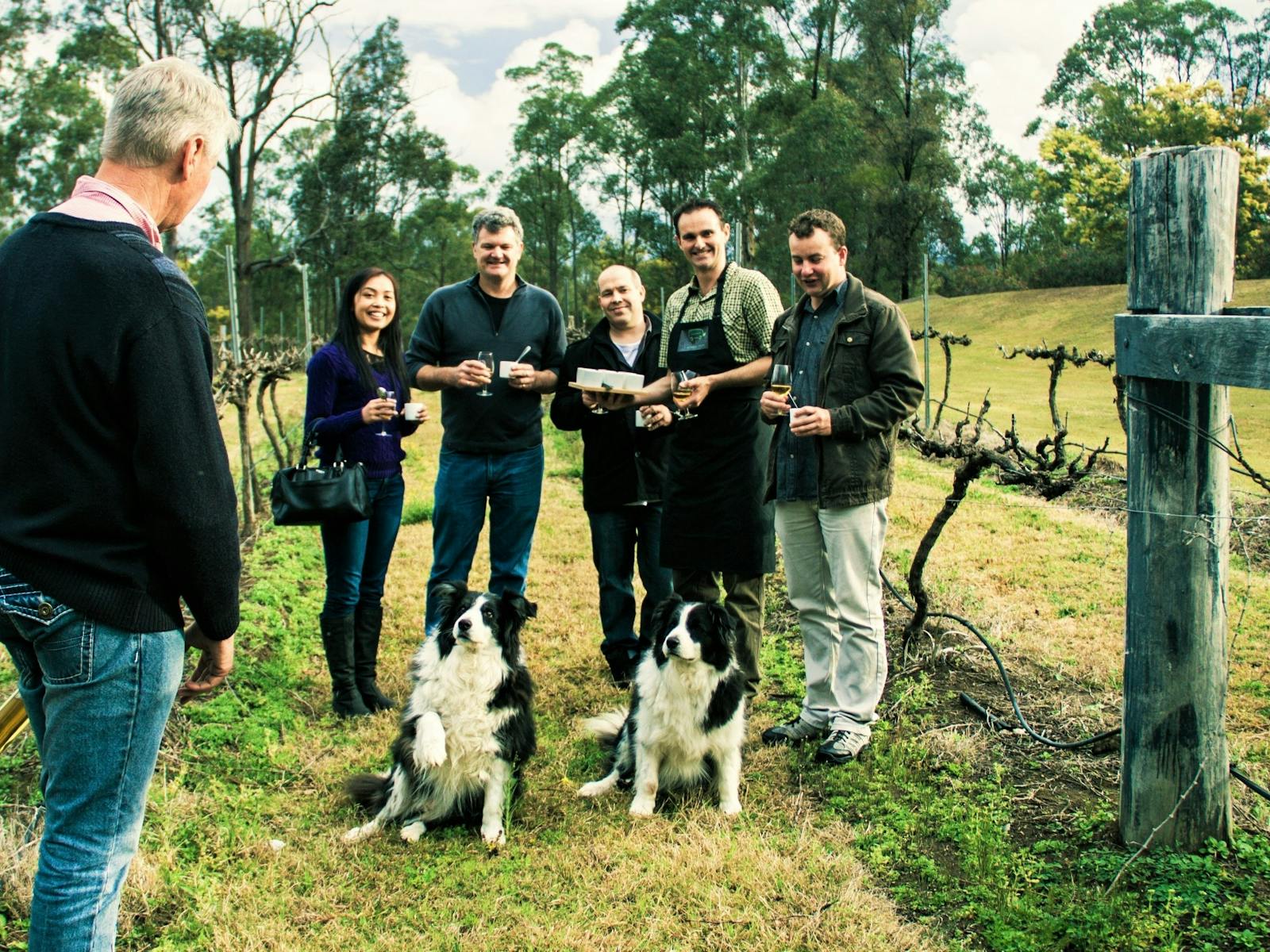 Wine Tasting in the Vinyard