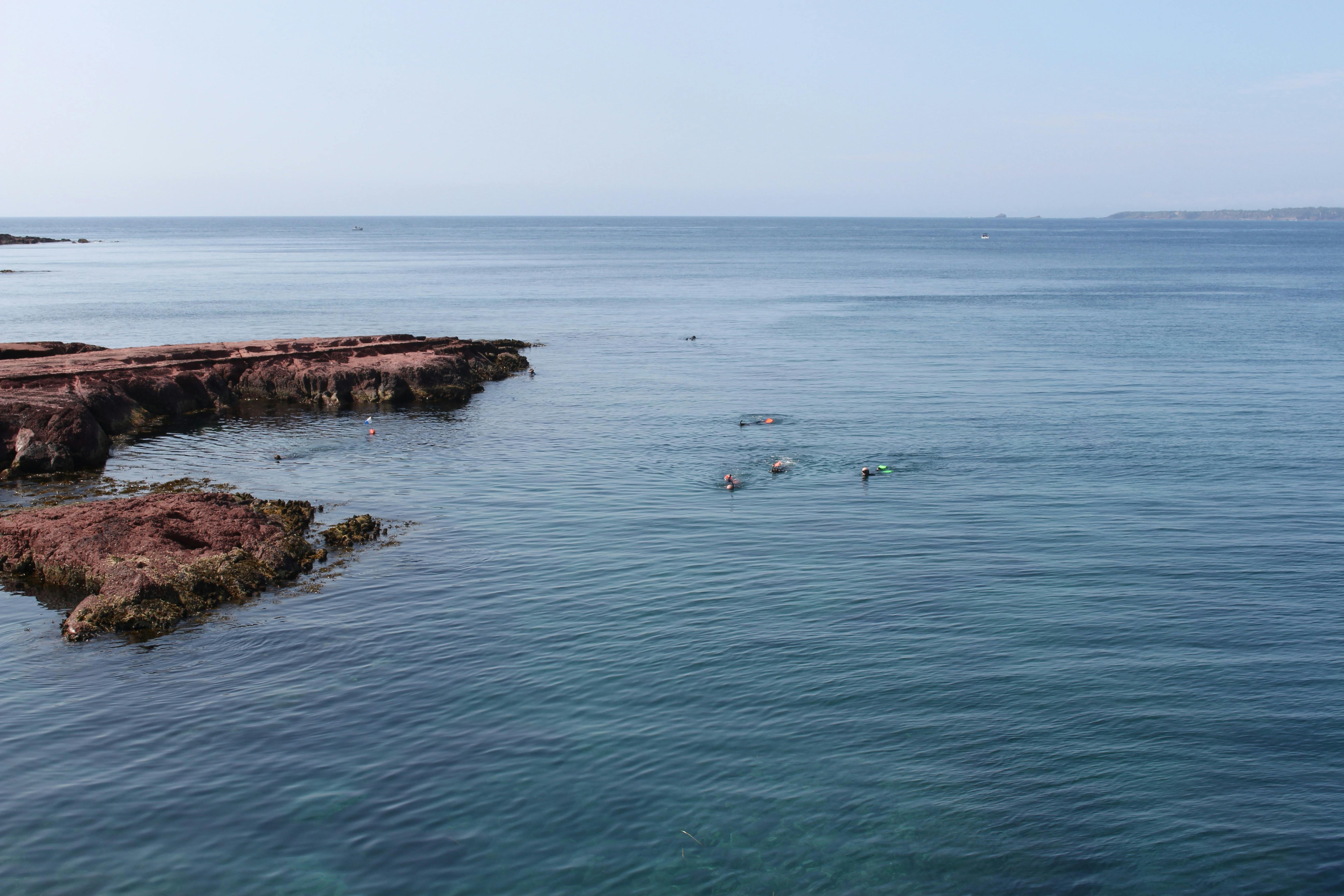 Clear water Merimbula Wharf