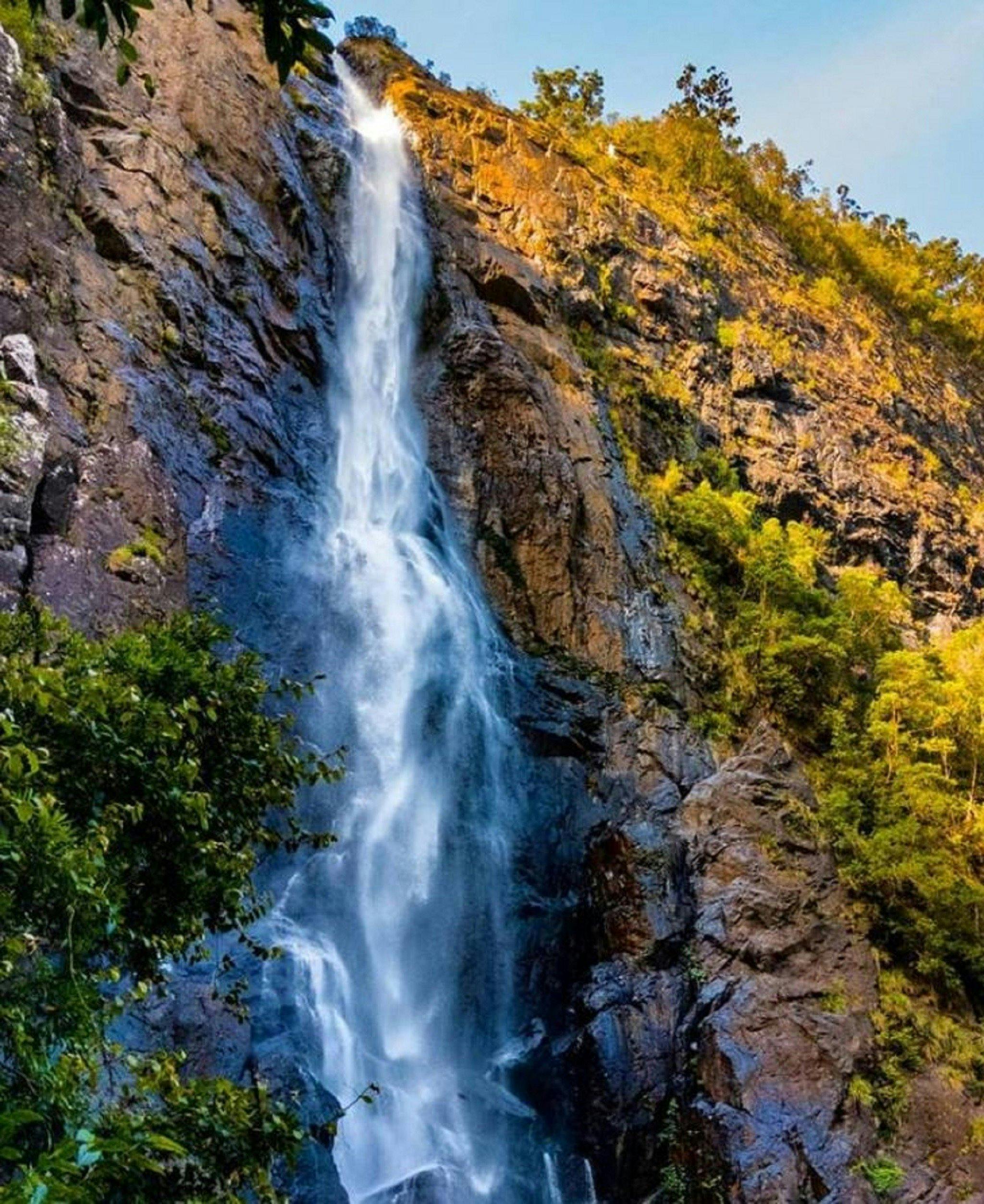 Ellenborough Falls | NSW Holidays & Accommodation, Things to Do