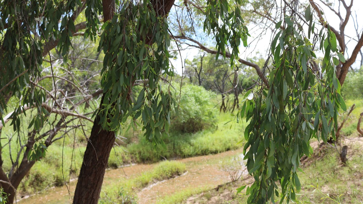 Watyakan Creek Watyakan Creek