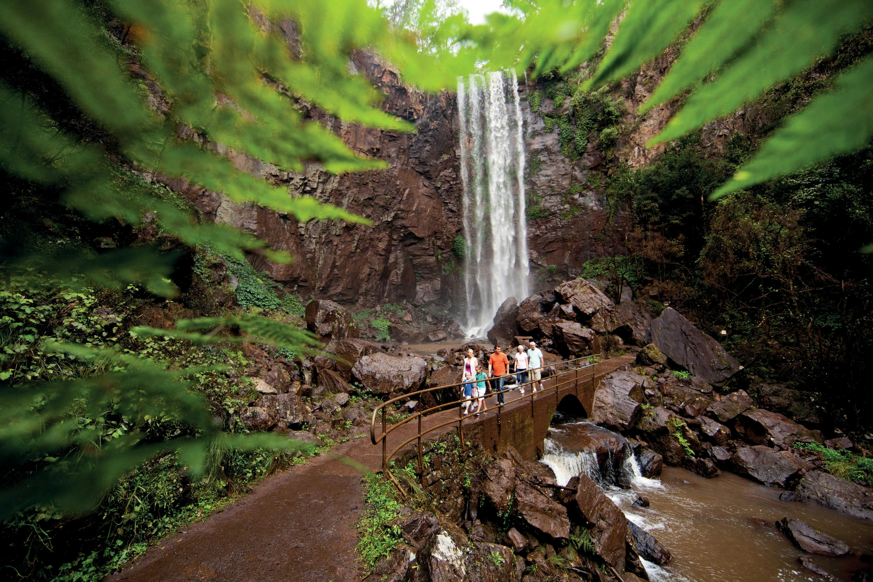 Photo shows a family standing at the bottom of Queen Mary Falls, near Killarney