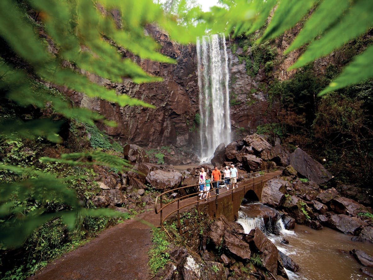 Photo shows a family standing at the bottom of Queen Mary Falls, near Killarney