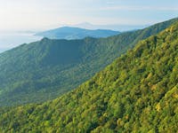 View over green rainforest-clad hills to the ocean and islands in the distance.