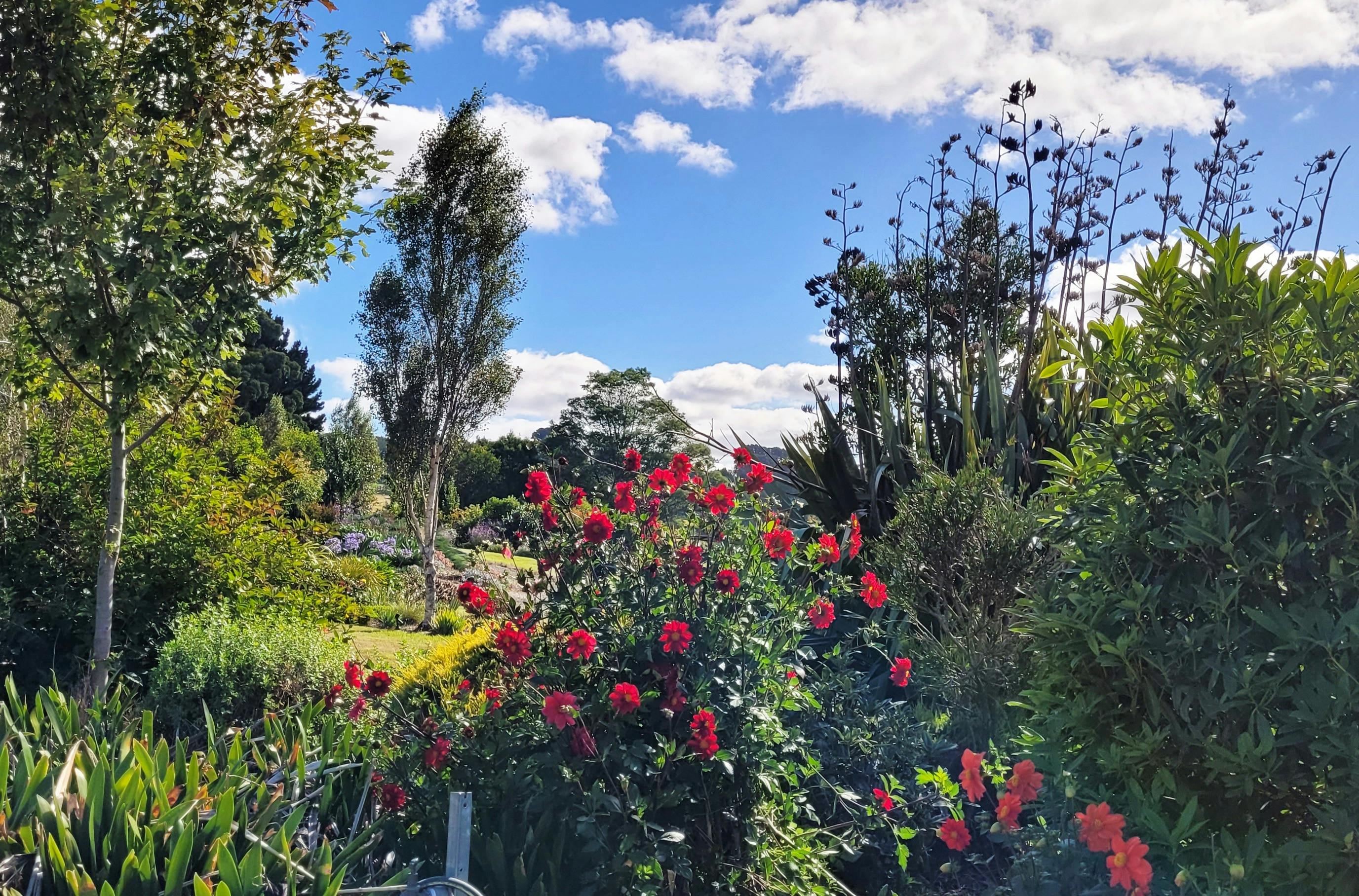 Open Gardens Victoria - Saint Cloud, flowers and plants in garden beds