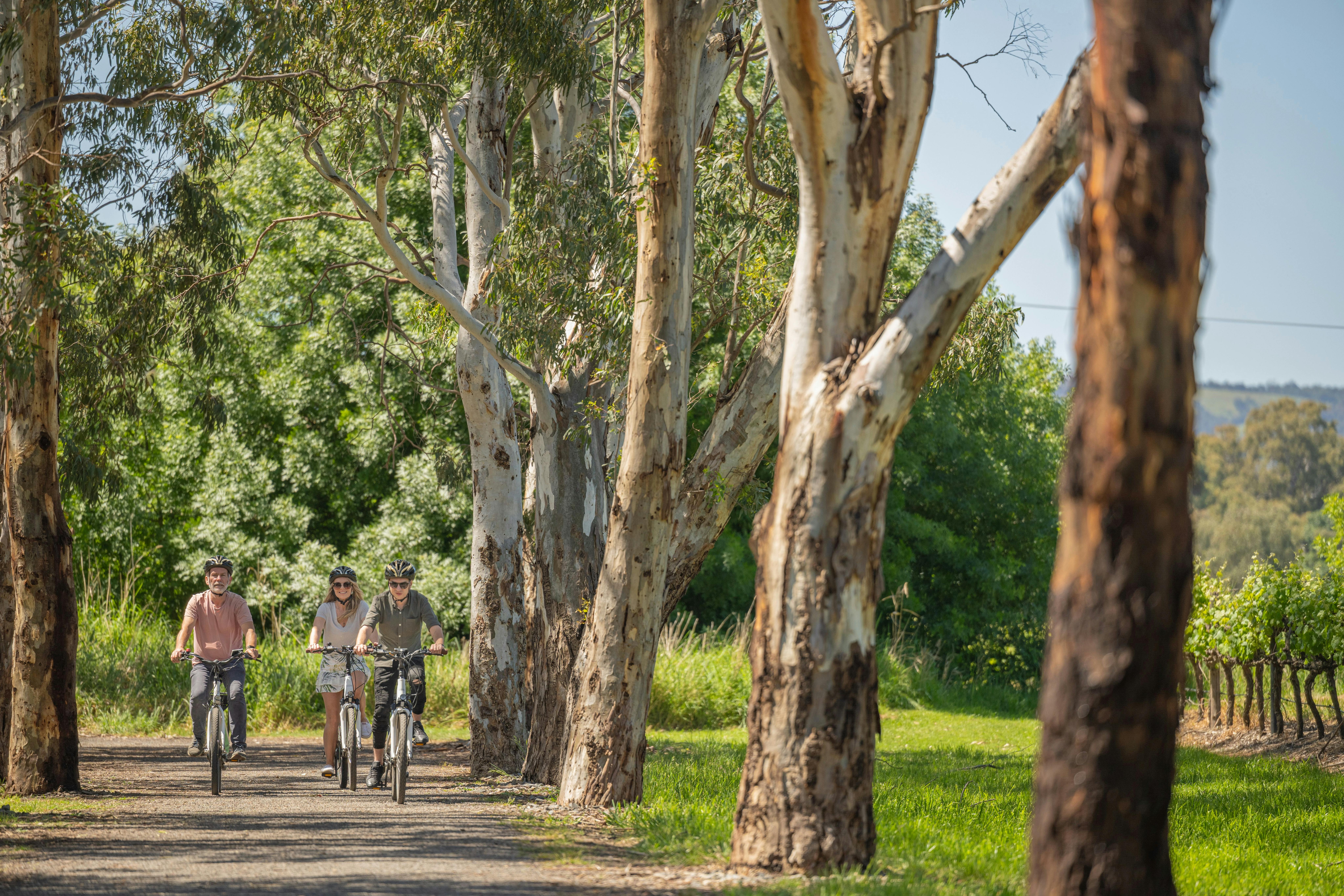 small group riding ebikes