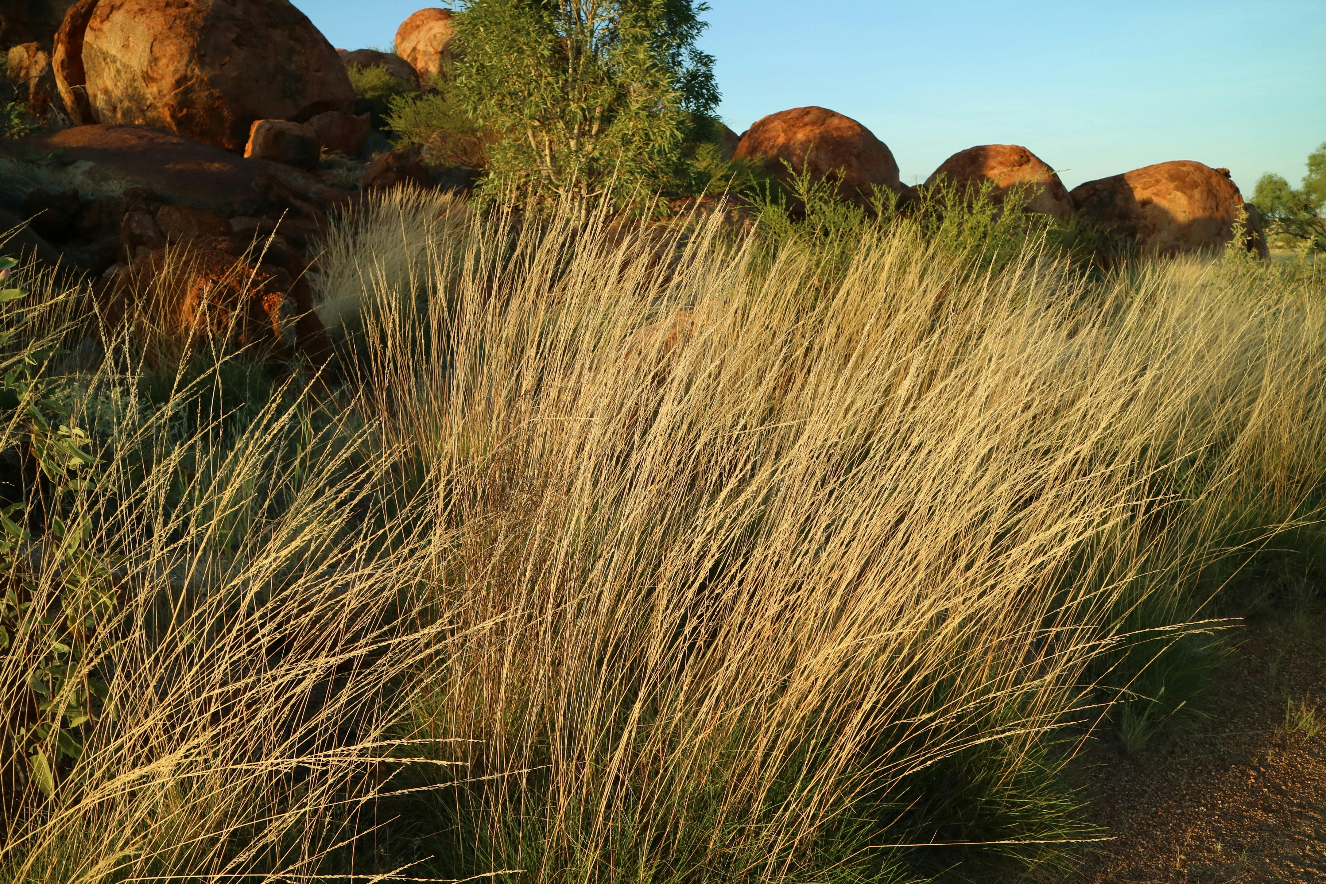 Karlu Karlu / Devils Marbles Conservation Reserve