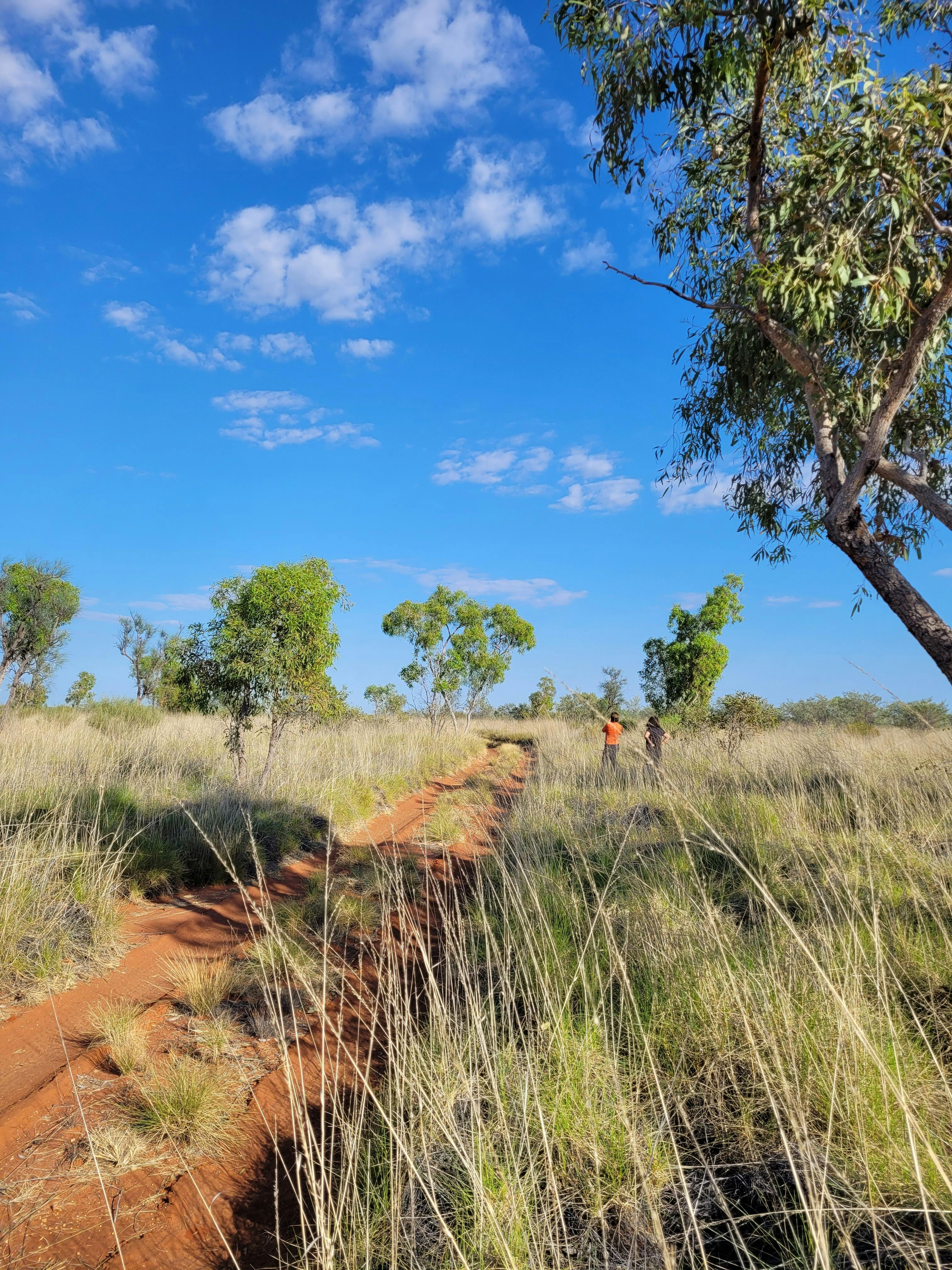 The vegetation and landscape changes in every km. A wonderland of excitement and vast spaces