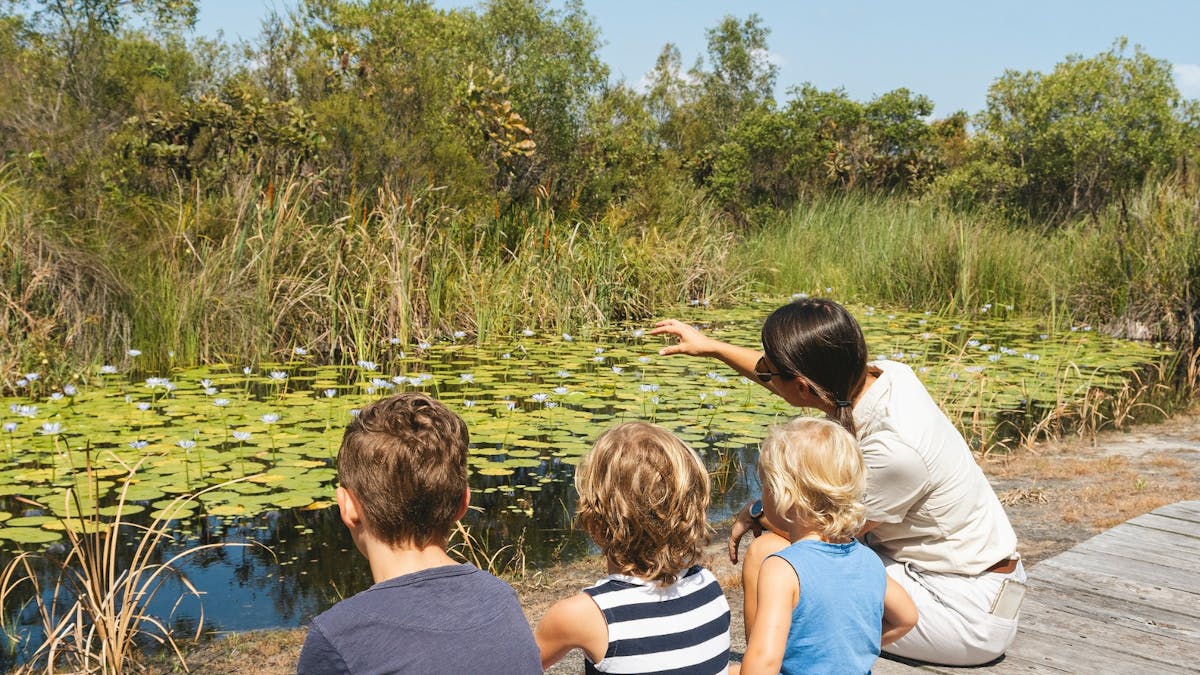 Resort Ranger showcasing the natural environment