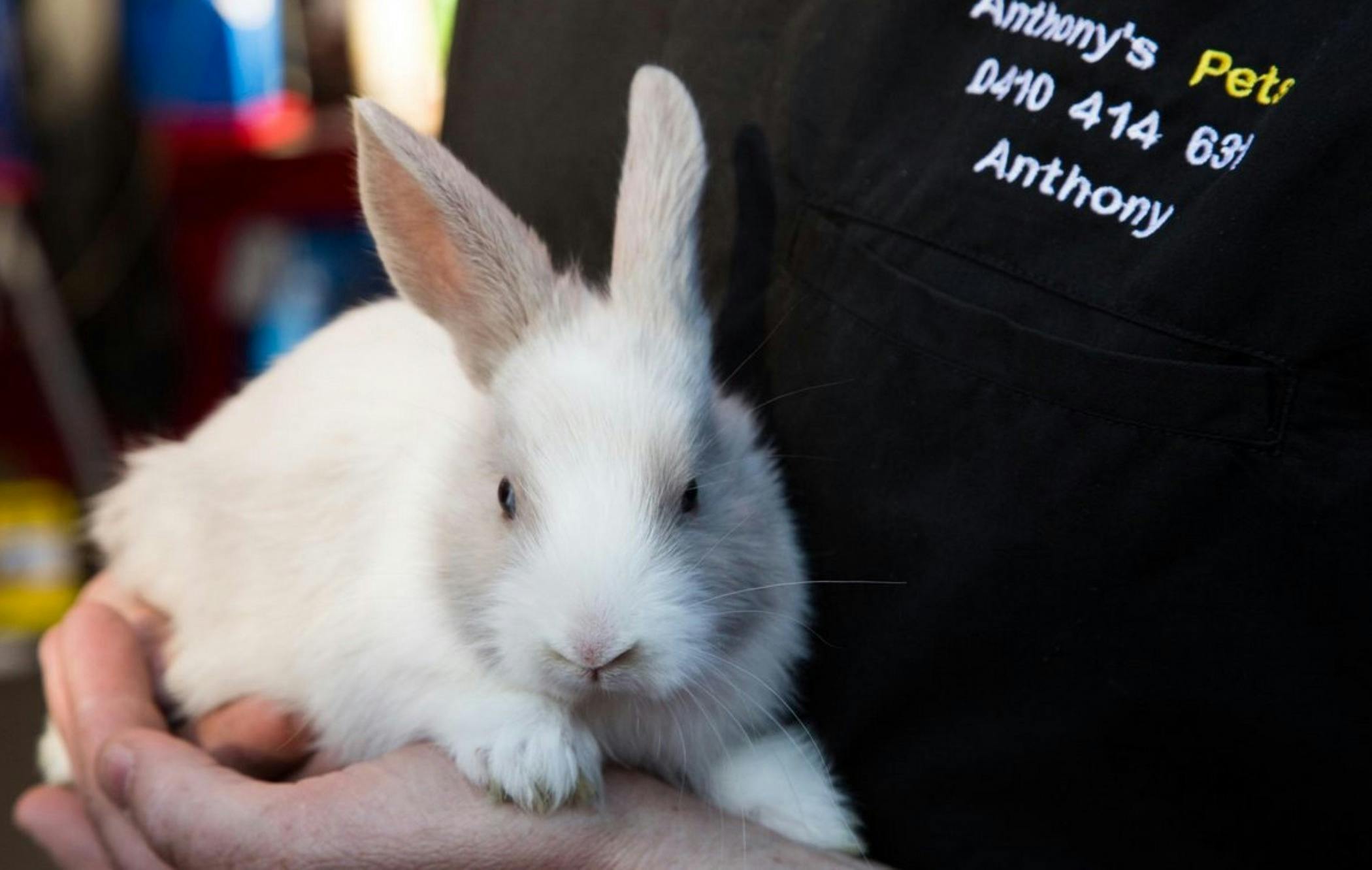 Fairfield Markets - Every Saturday