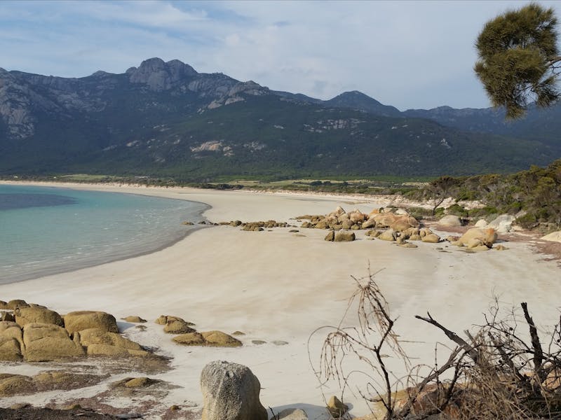 Fotheringate Beach