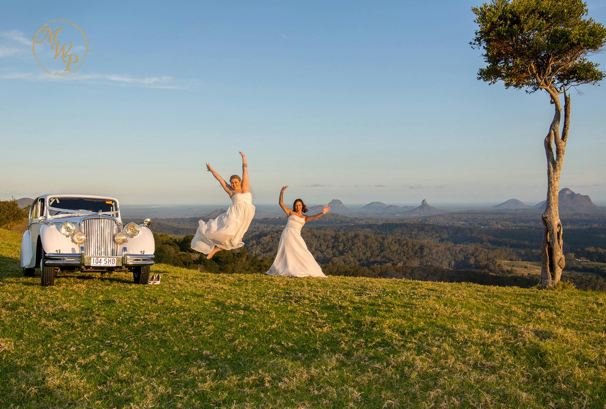 Same Sex wedding at One Tree Hill Maleny