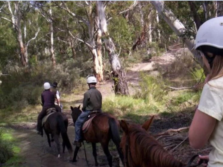 Come and enjoy some Snowy Mountains riding