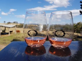 Oberon Wine and Beer Trail Open Day