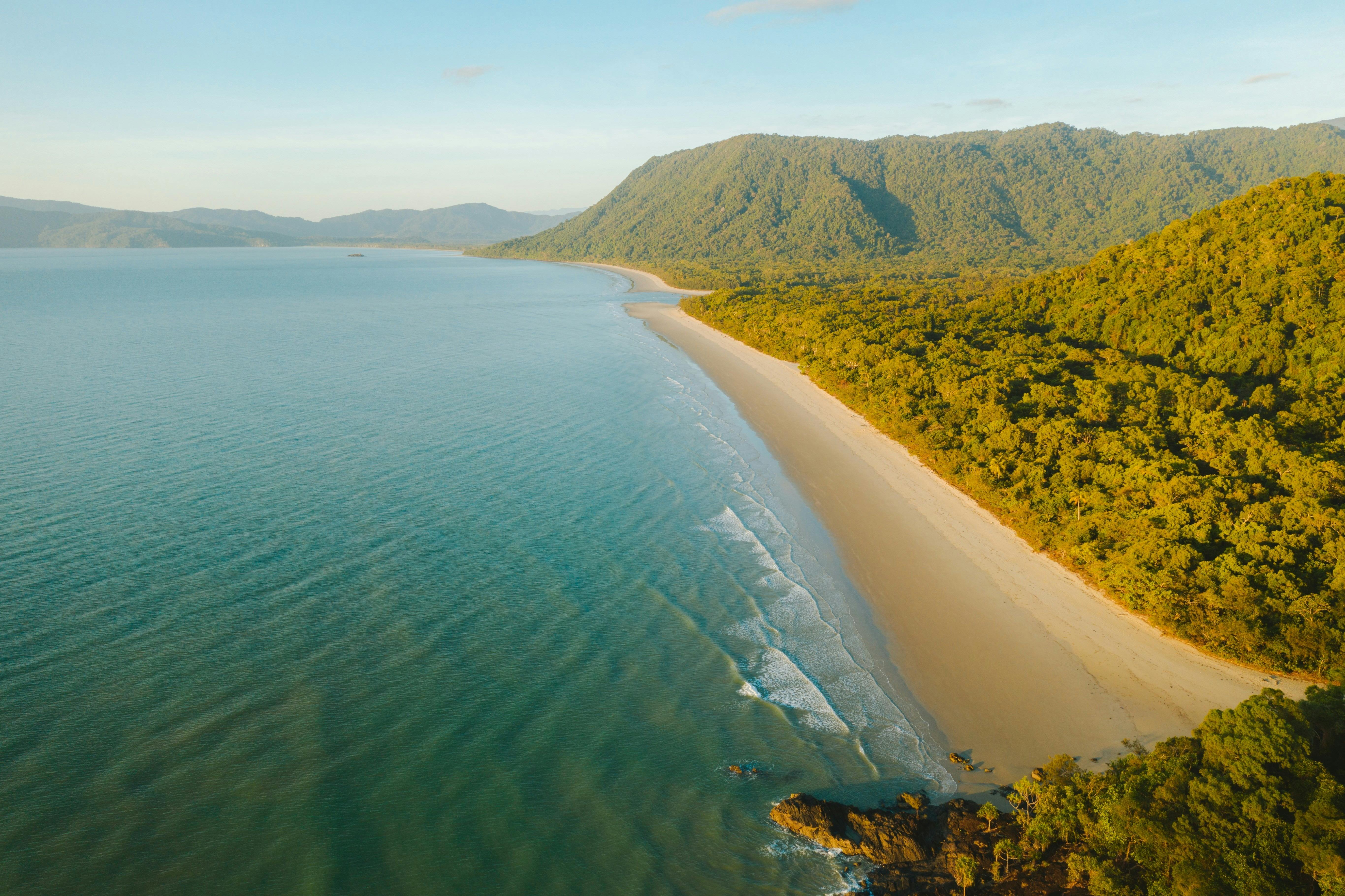 Explore world heritage Daintree National Park - The Tour Specialists