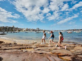 Manly to Spit Bridge Scenic Walkway