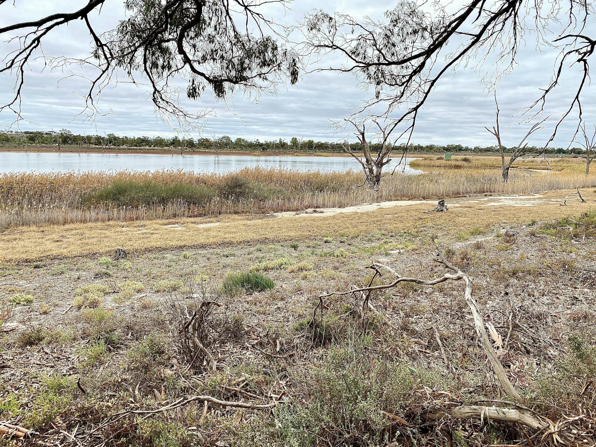Just up from Bird Hide