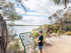 Interpretative signage on local flora and fauna on the Oyster Walk