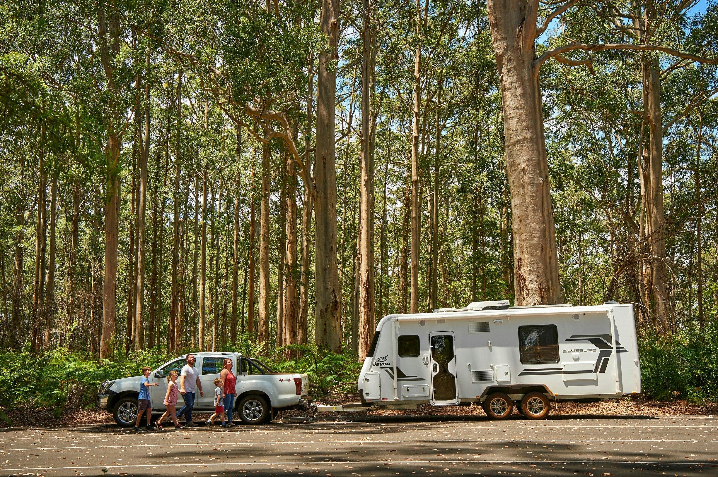 Pemberton, Western Australia