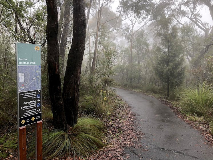 Fairfax Heritage track, Blue Mountains National Park