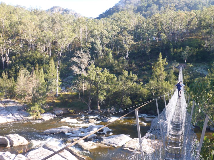 Bowtells Swing Bridge on the Six Foot Track