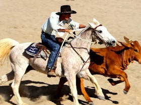 Bedourie Campdraft, Rodeo, Gymkhana Cover Image