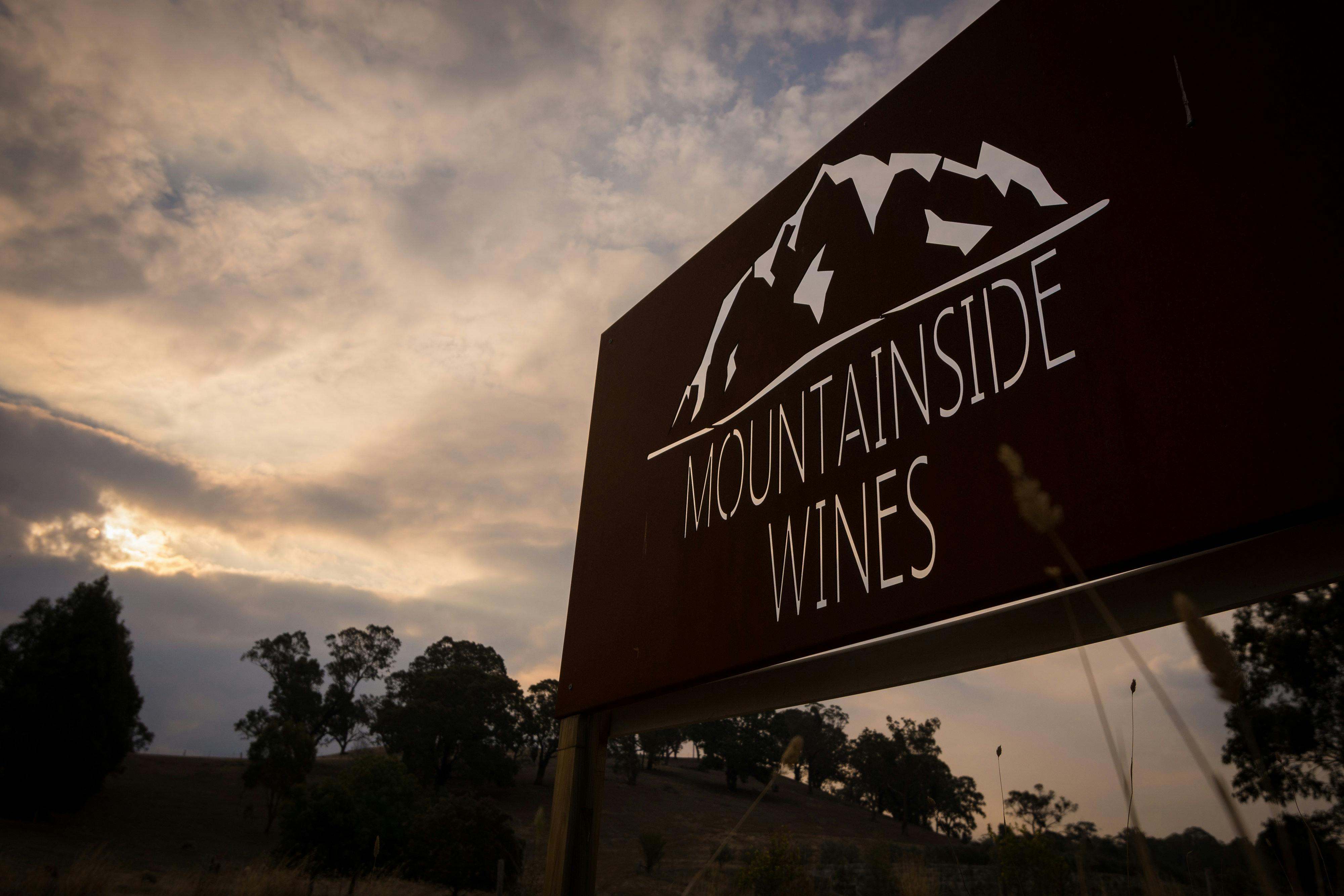 Mountainside Wines