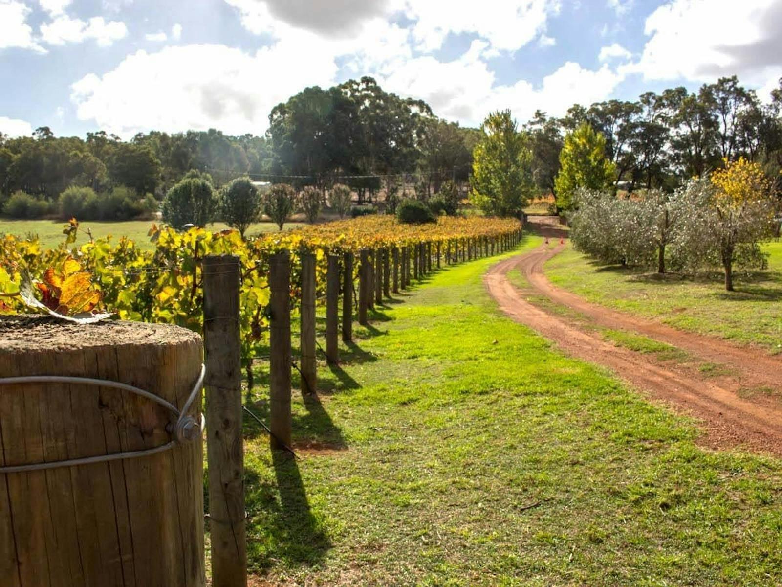 Tonon Vineyard and Winery