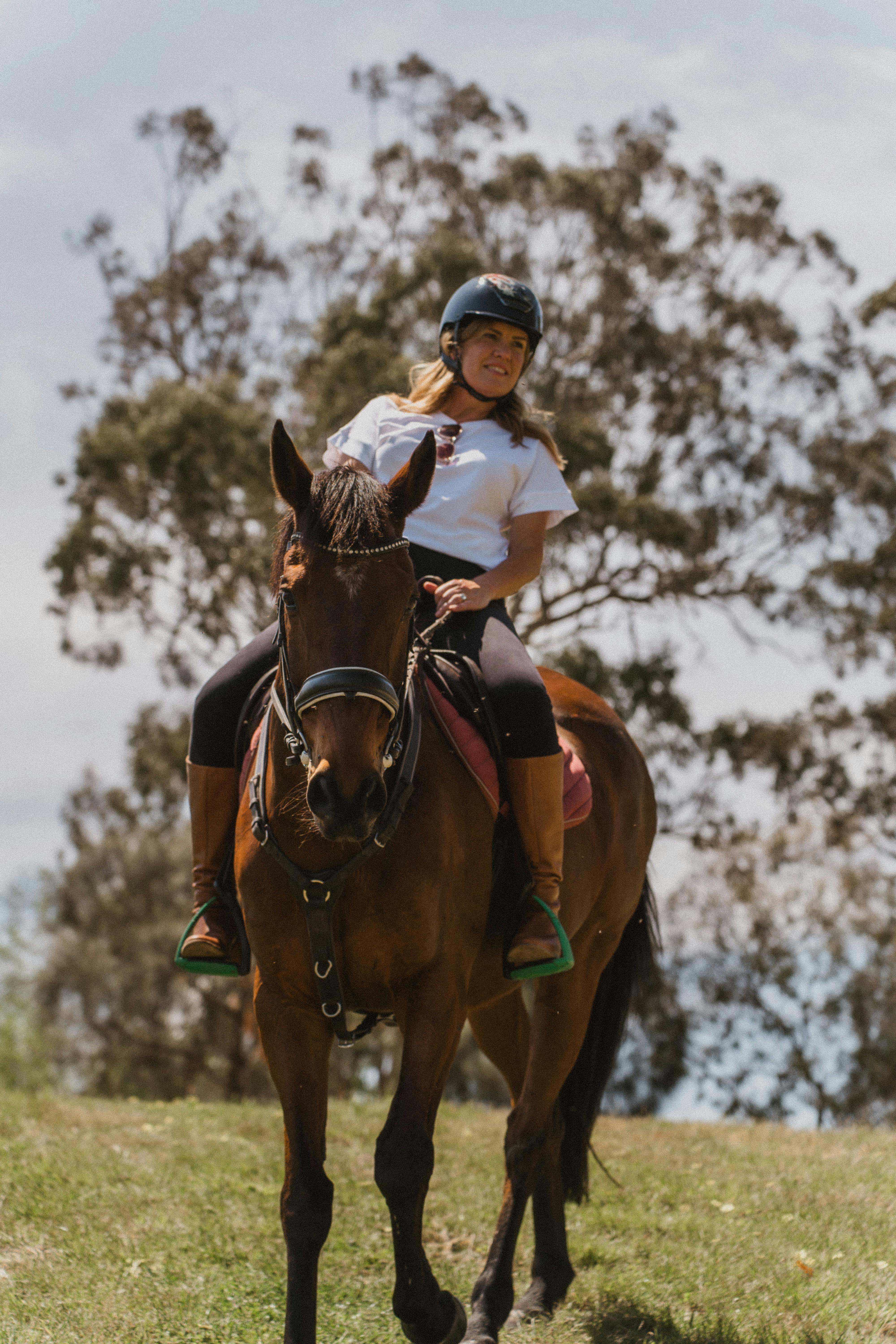 Horse Riding at Petaluma Wines
