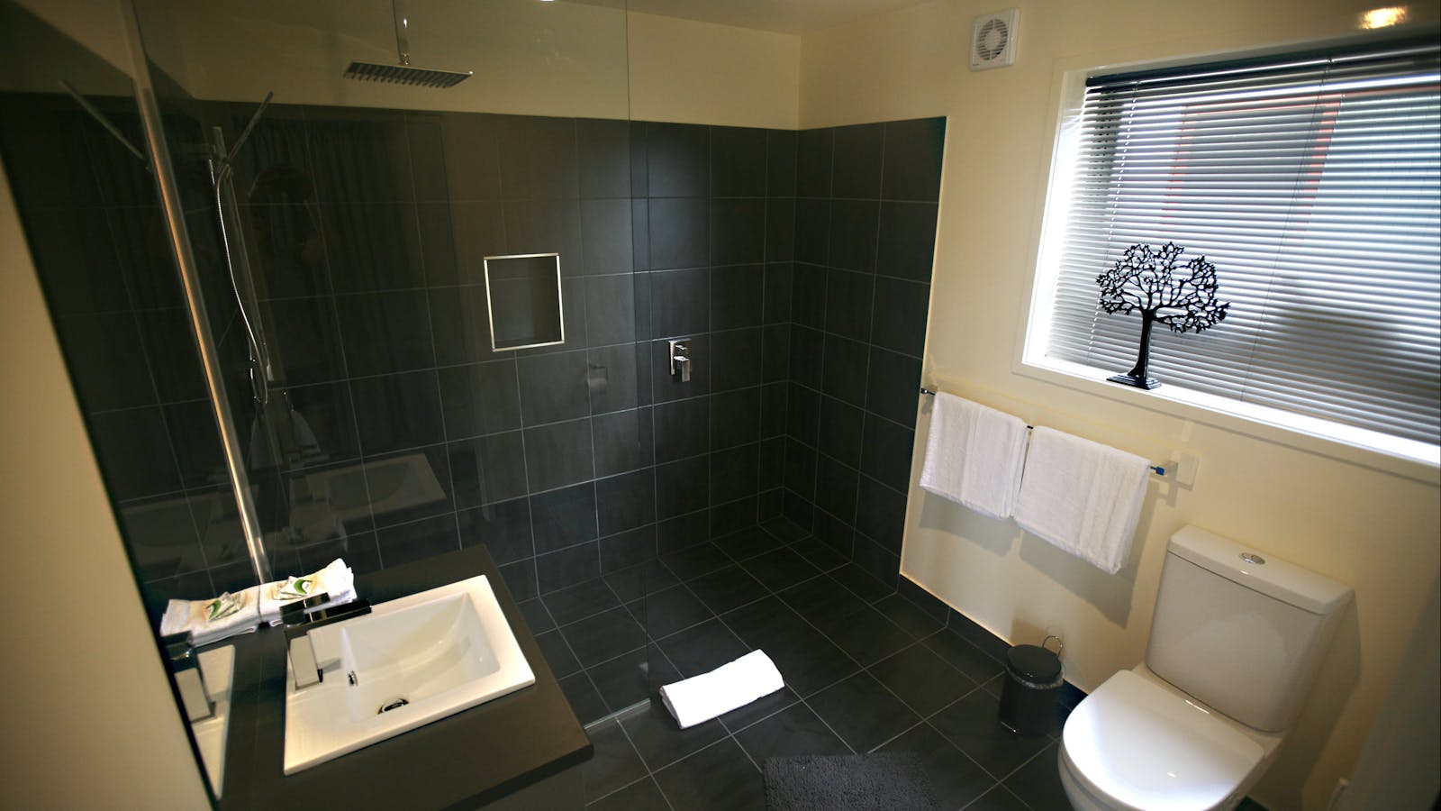 Lower deck bathroom with walk in rain shower