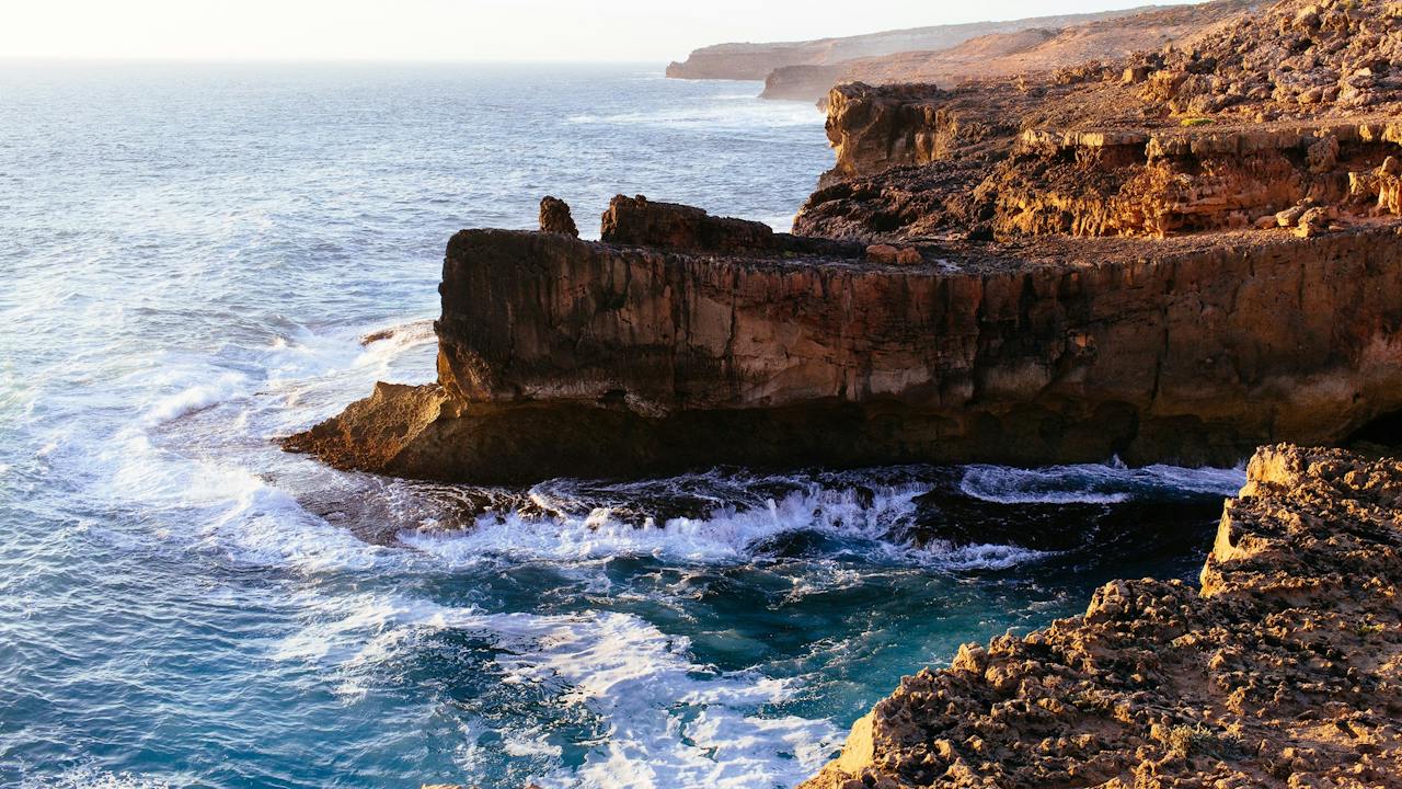The Blowholes