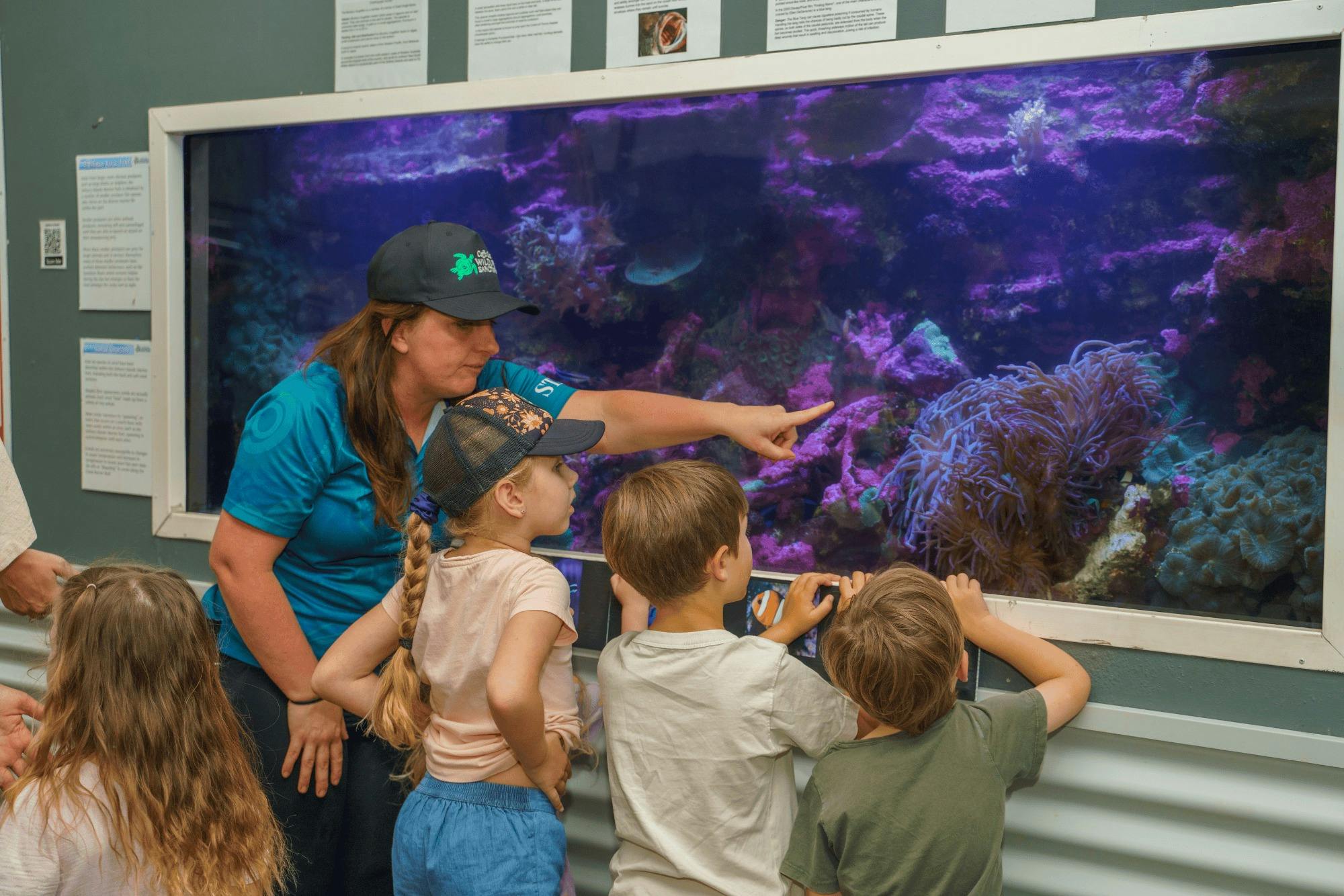 Owner Tiga pointing to Aquarium