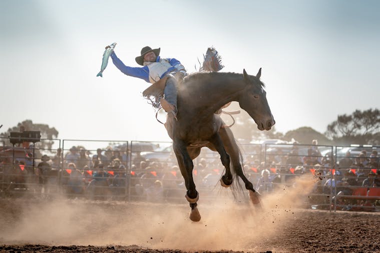 Rodeo by the Sea Streaky Bay