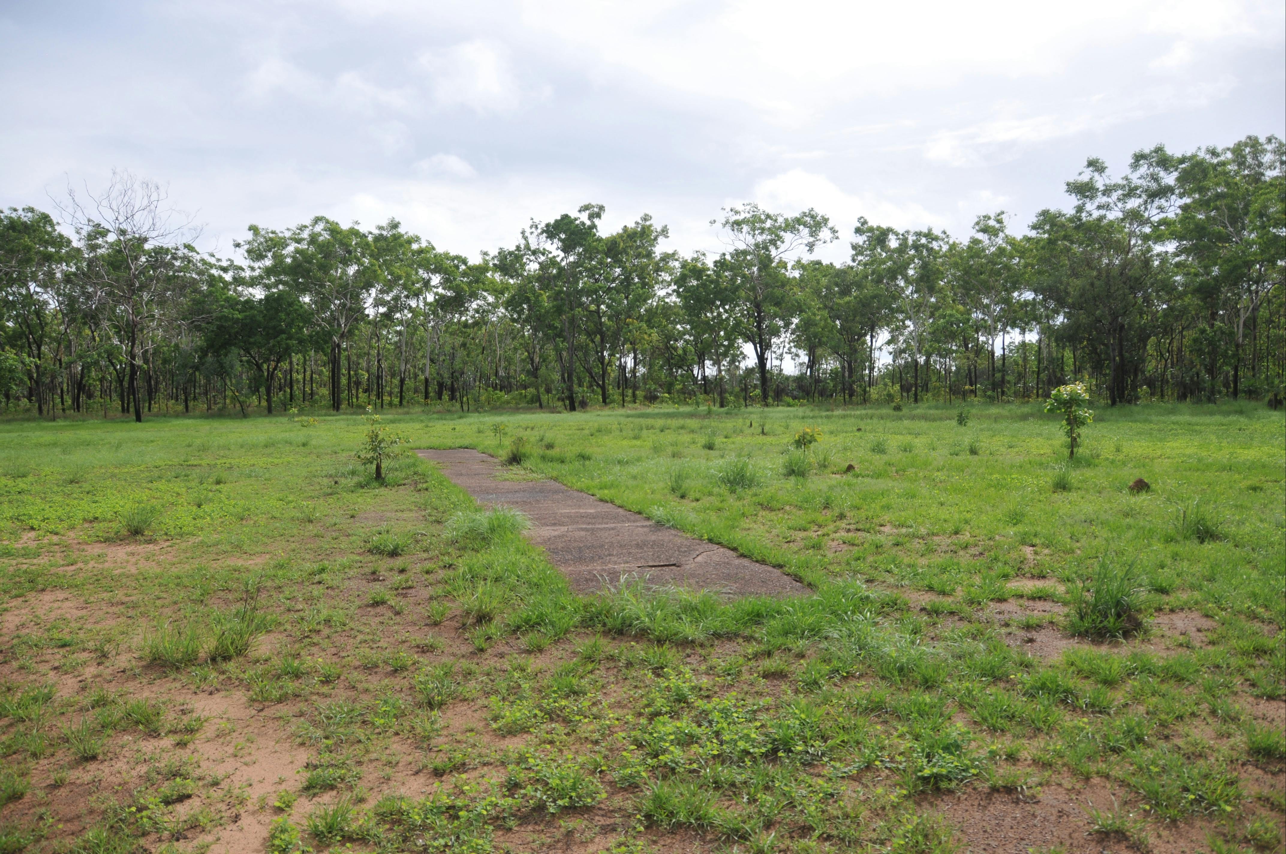 – Cricket pitch in the centre of the oval just past the Stuart Highway turnoff into the Cox Peninsular Road.