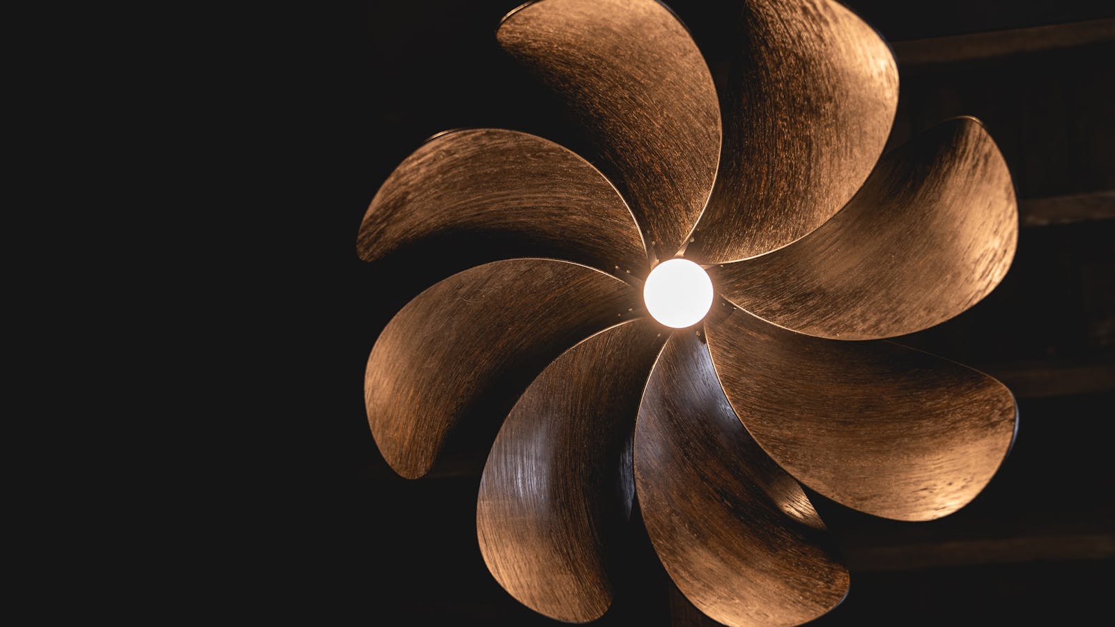 IXL Tasmanian Art Gallery - Lighting