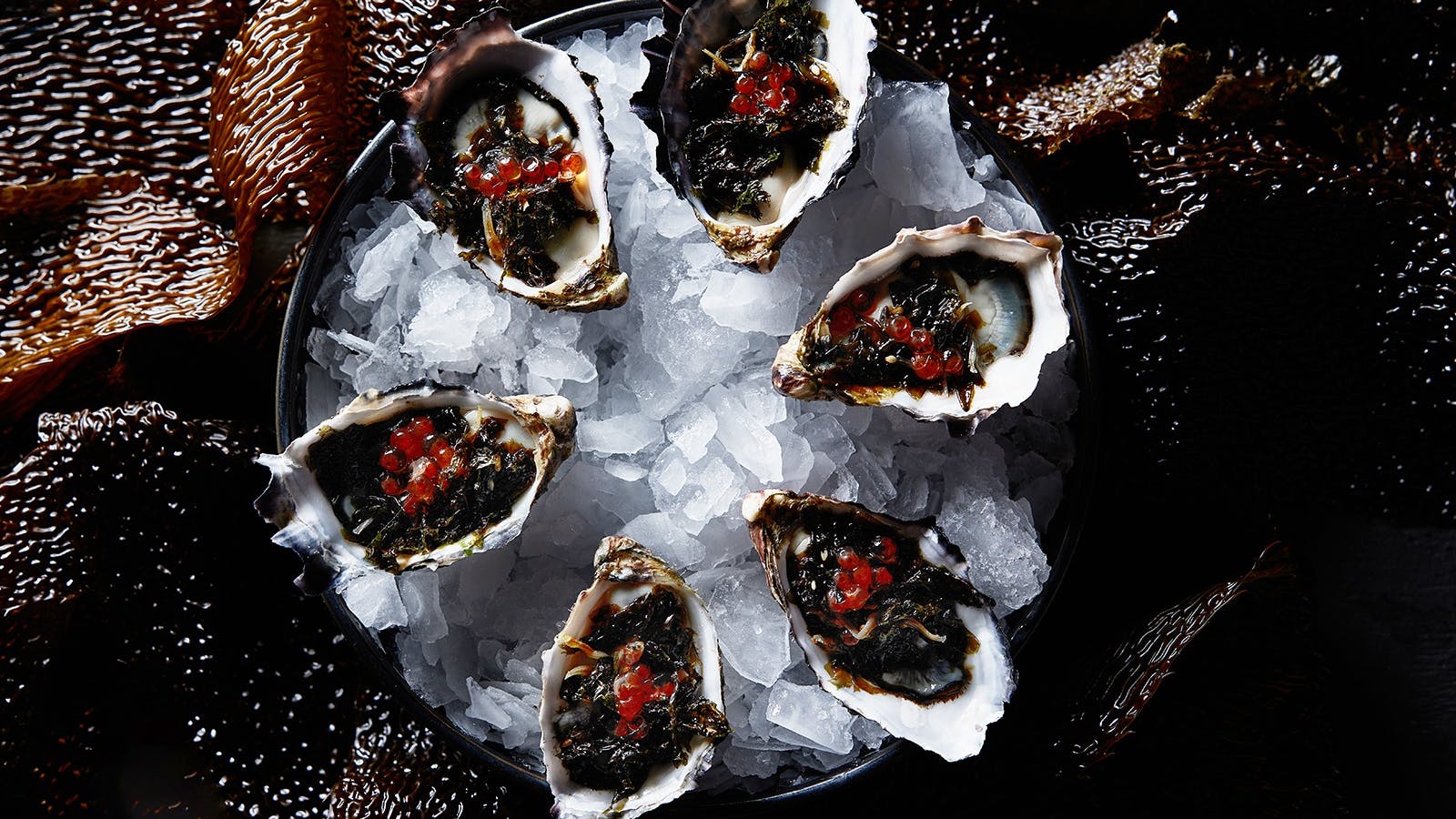Kelp Bar signature oysters