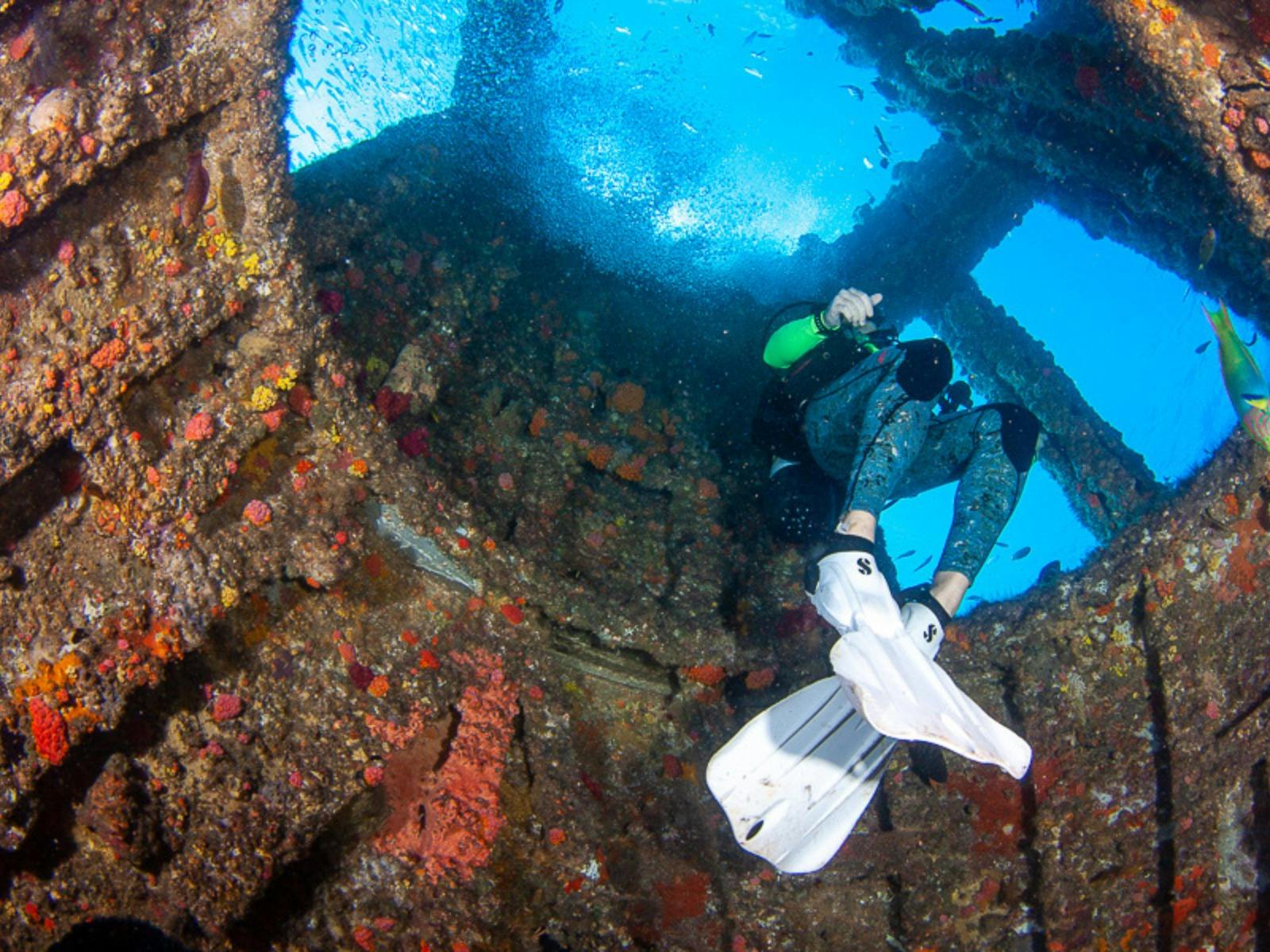 Diver swimming throught the inside of the HMAS Brisbane Wreck