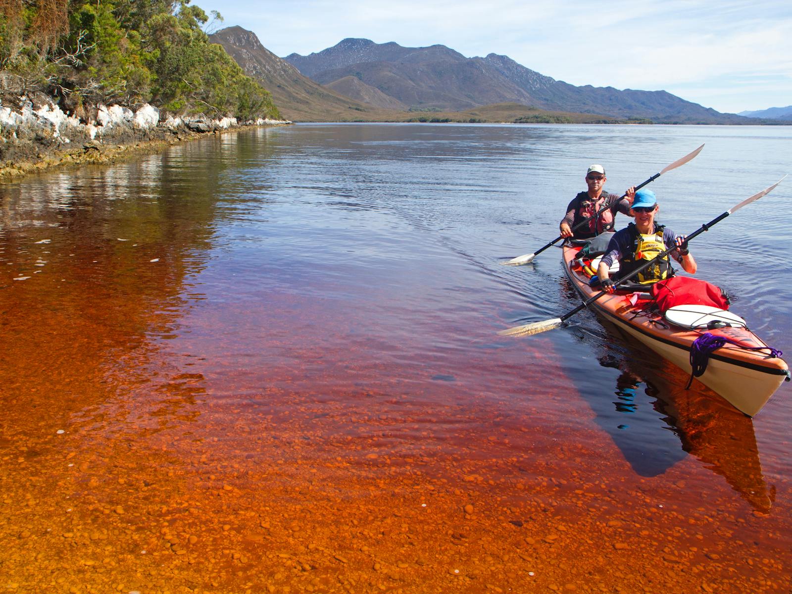 Kayaking on the tanin stained waters of Bathurst Harbour