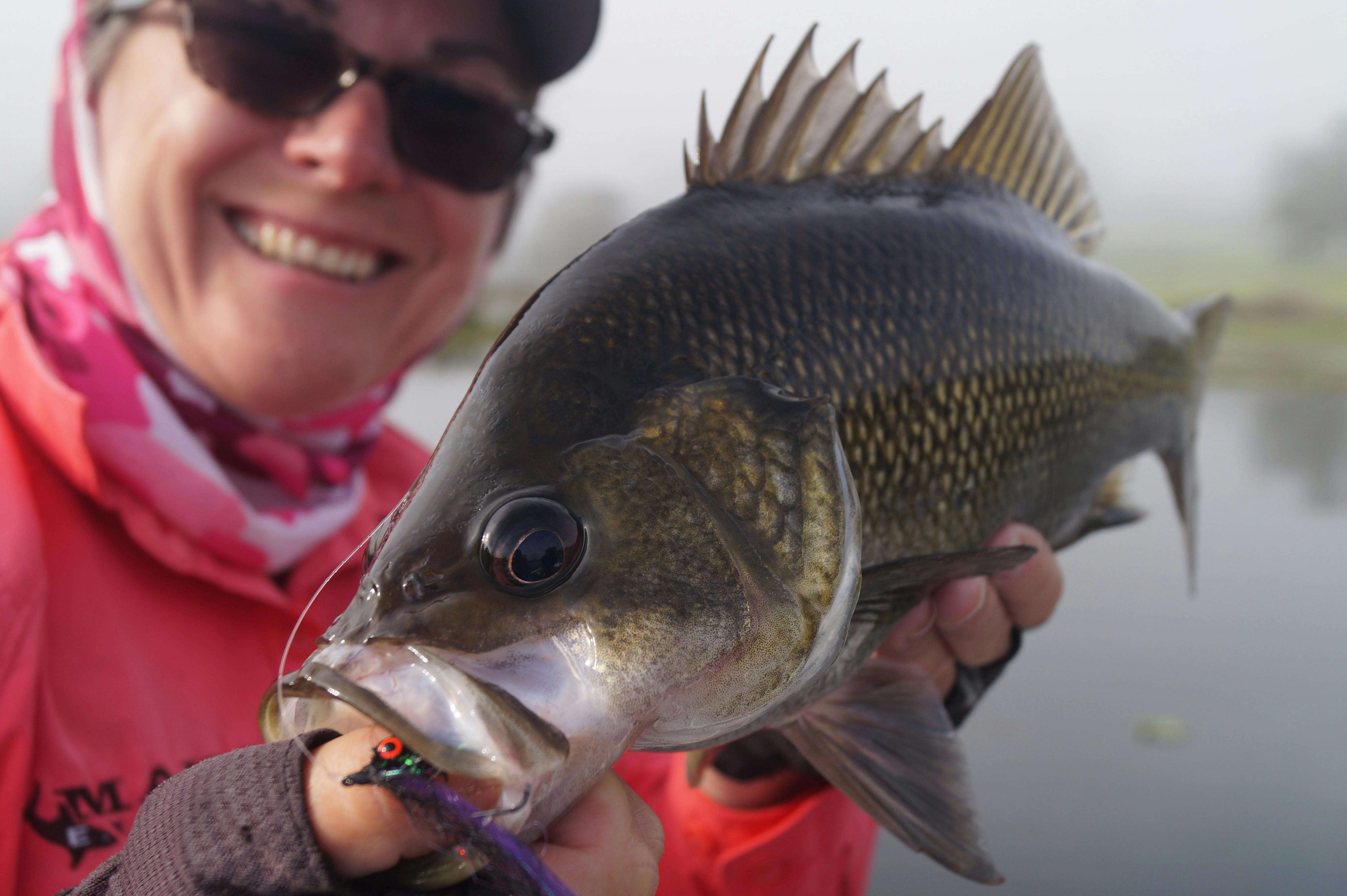 Fishing the Northern Rivers (Half Day)